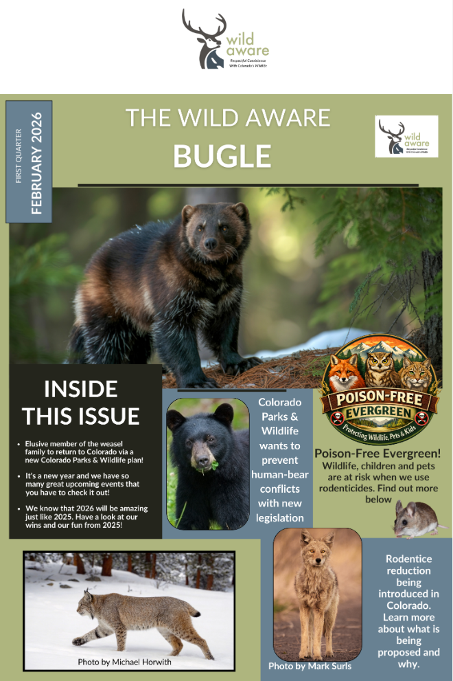 The Wild Aware Bugle - February 26'