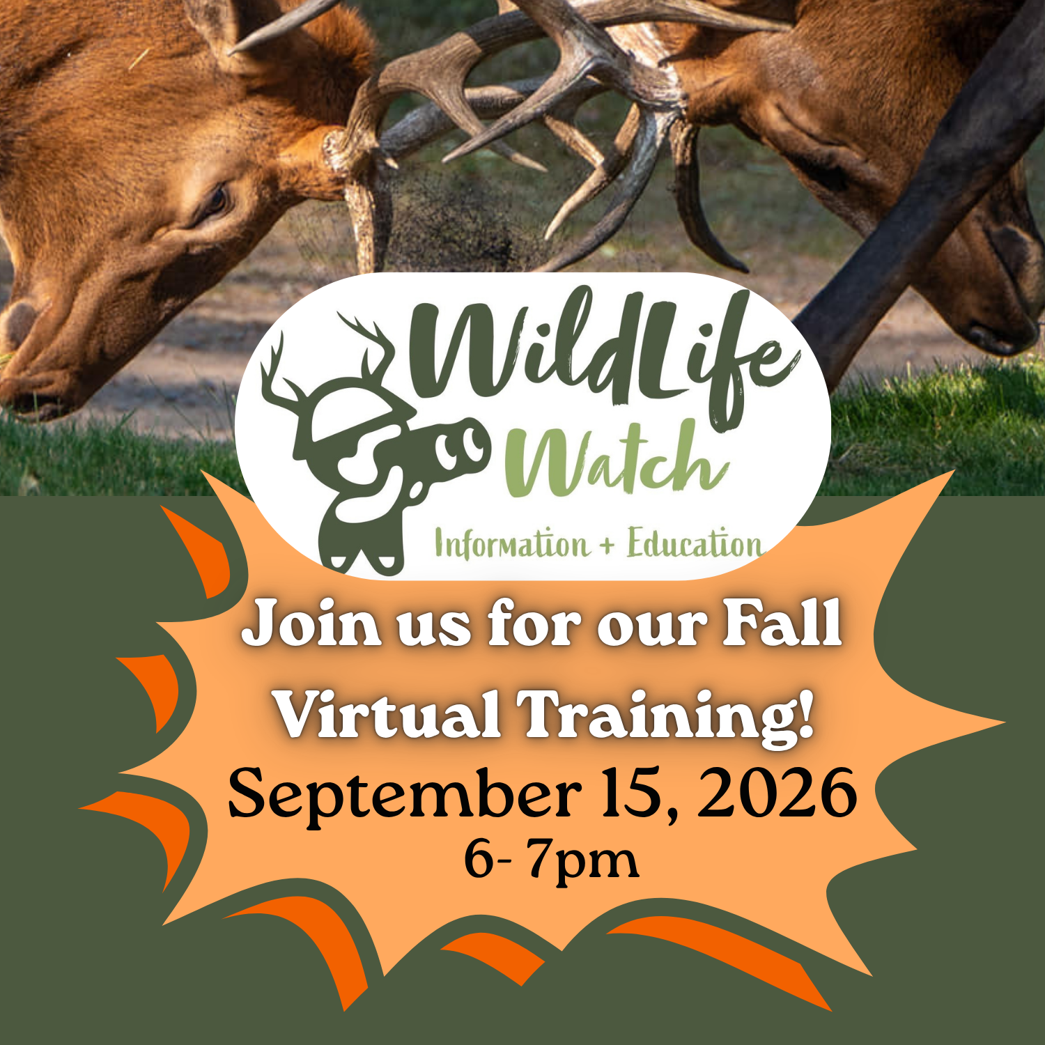 Wildlife Watch Information & Education Virtual Training
