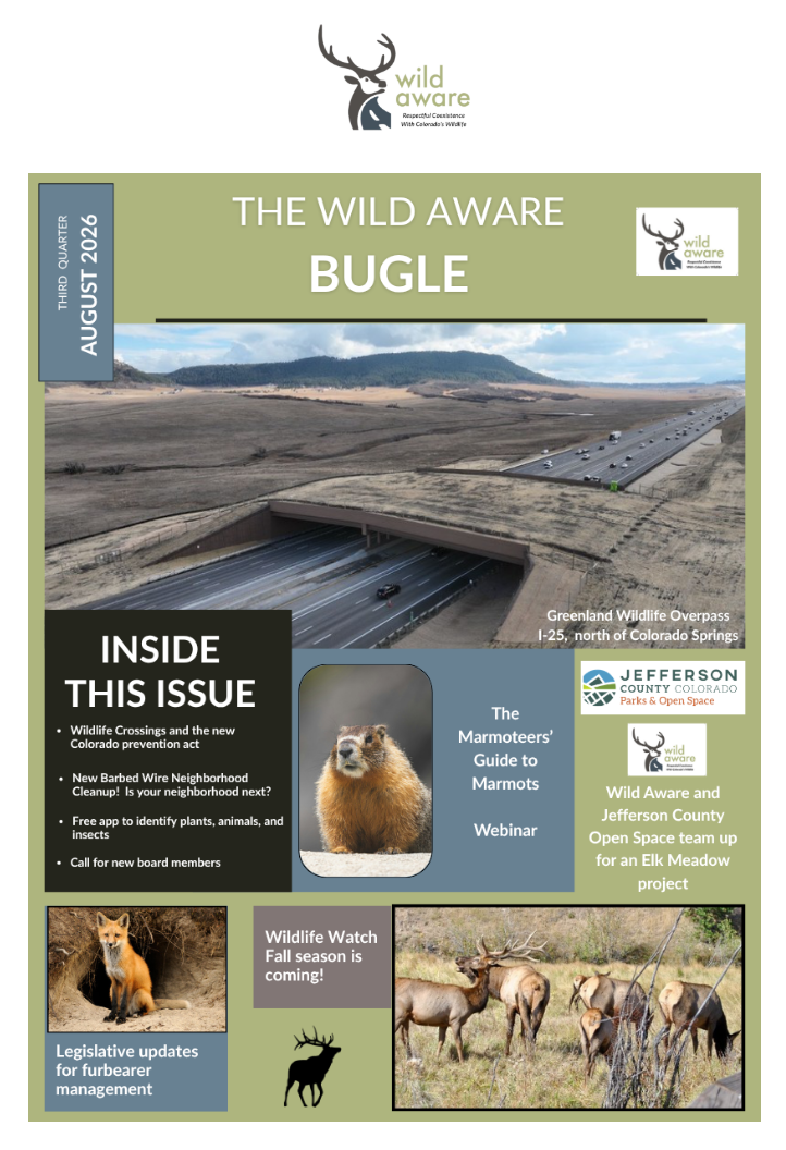Wild Aware Bugle August 2026