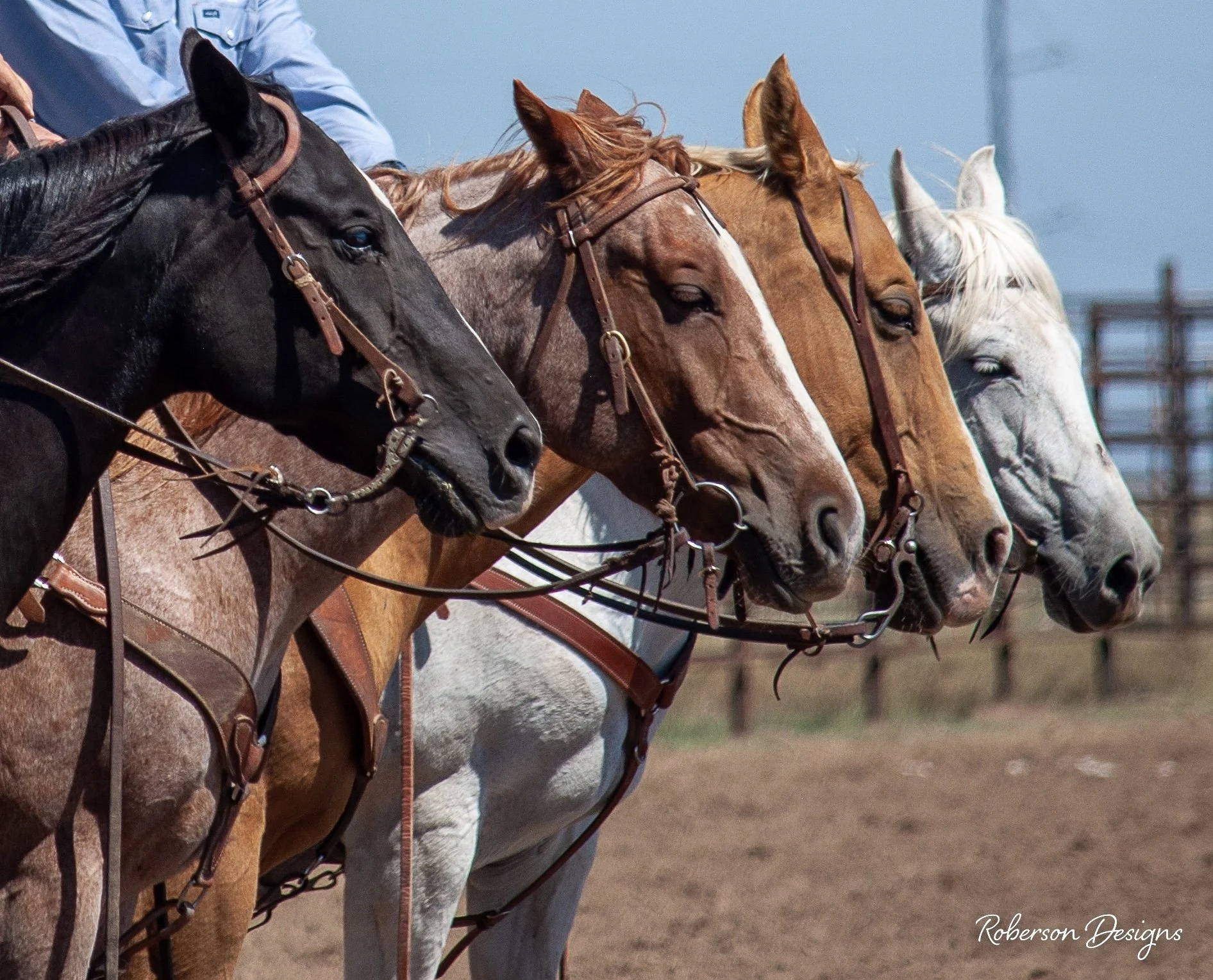 2nd Annual WMR Ranch Rodeo