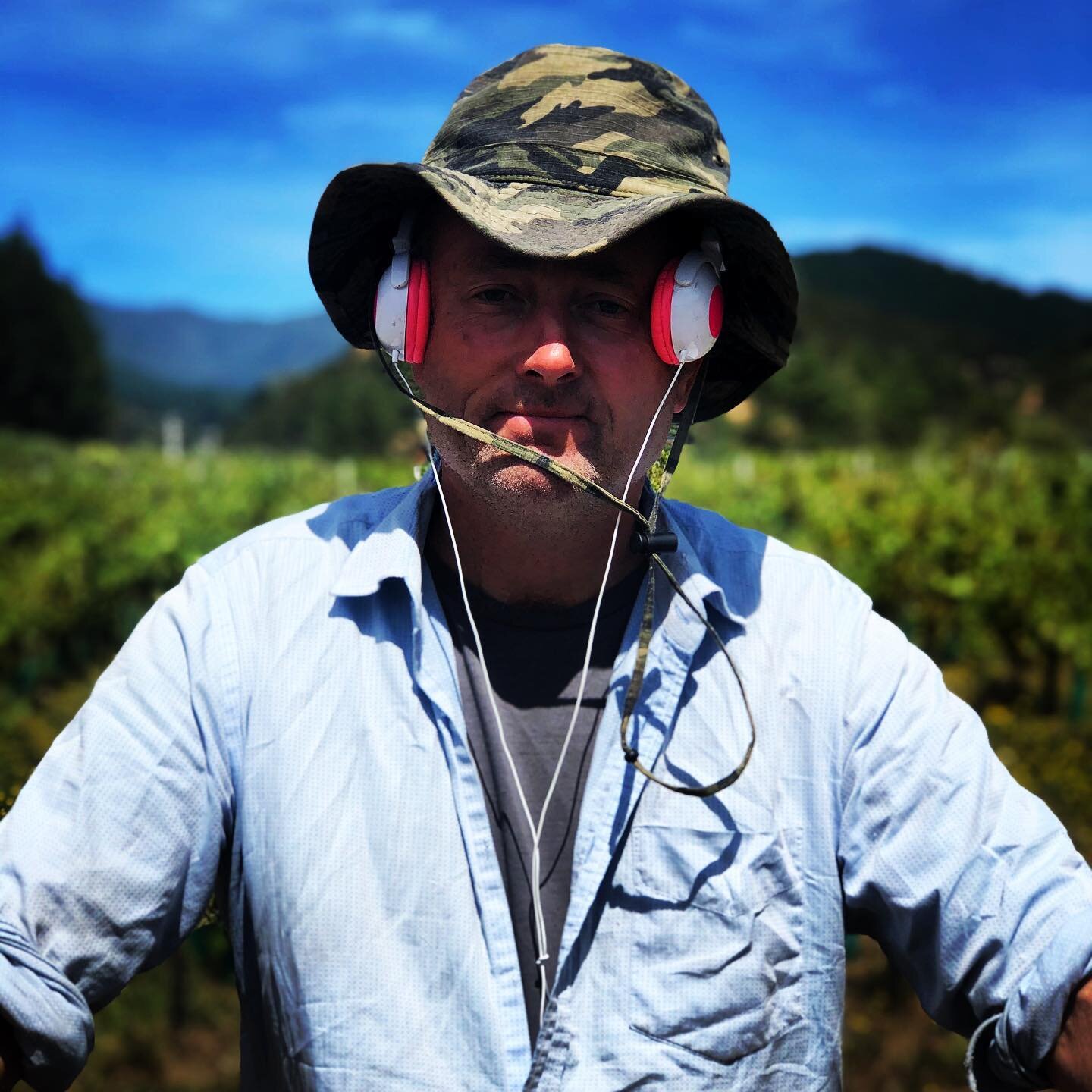 Can&rsquo;t hear the heat with pink headphones in the vineyard. ...