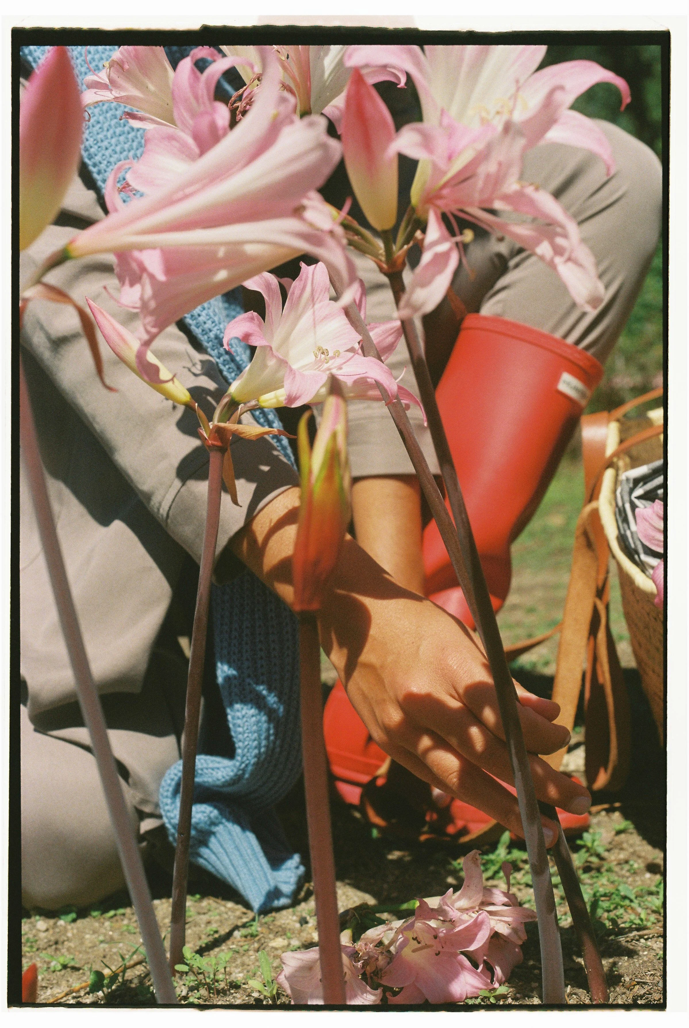 marie 34.jpg