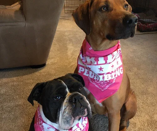 pride plumbing pets.jpg