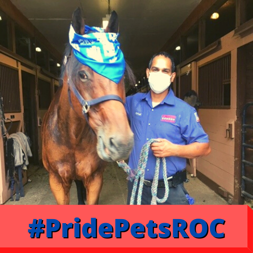sam and pride plumbing horse.png
