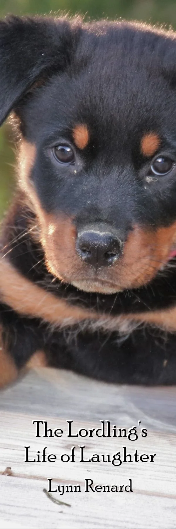 Bookmark for newsletter subscribers. Puppy bookmark image no quote