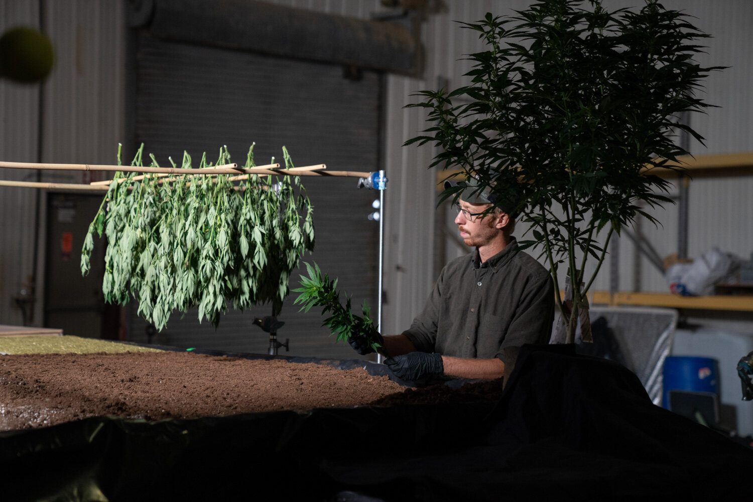 BTS_Topdown_Commercial_27.jpg