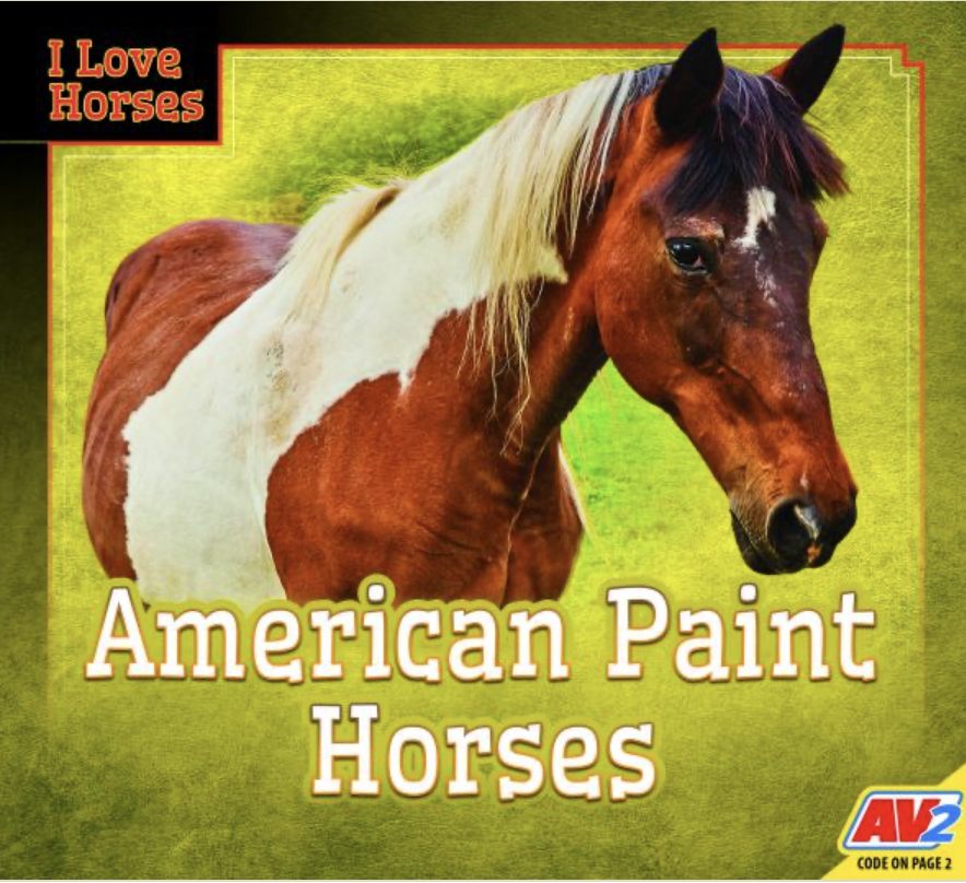 Screenshot 2025-03-06 at 6.12.46 AM.png