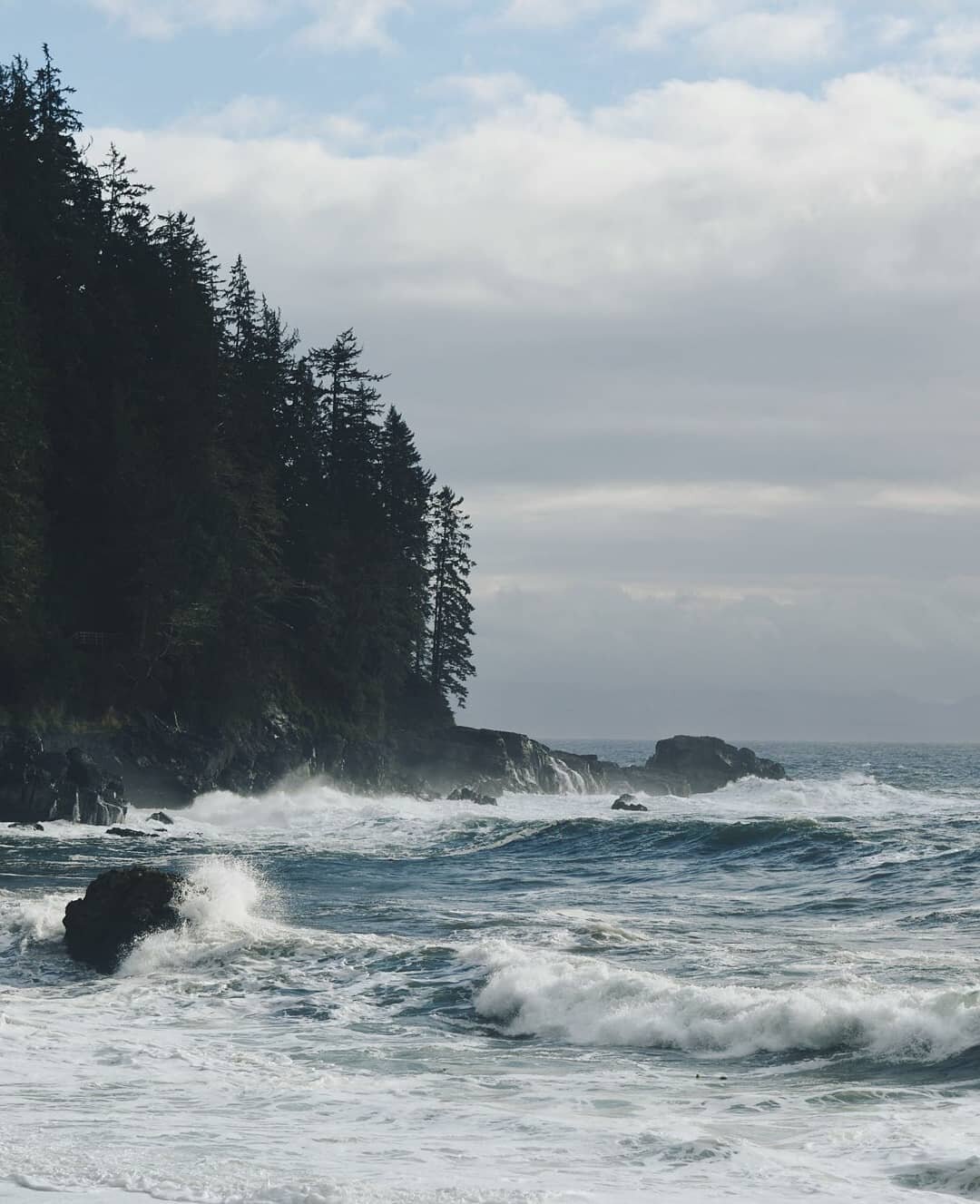 West Coast moody beauty. 

🍁

Join us for a cozy glimpse of Autumn on Vancouver Island.

Thanks @lynseygray for sharing!