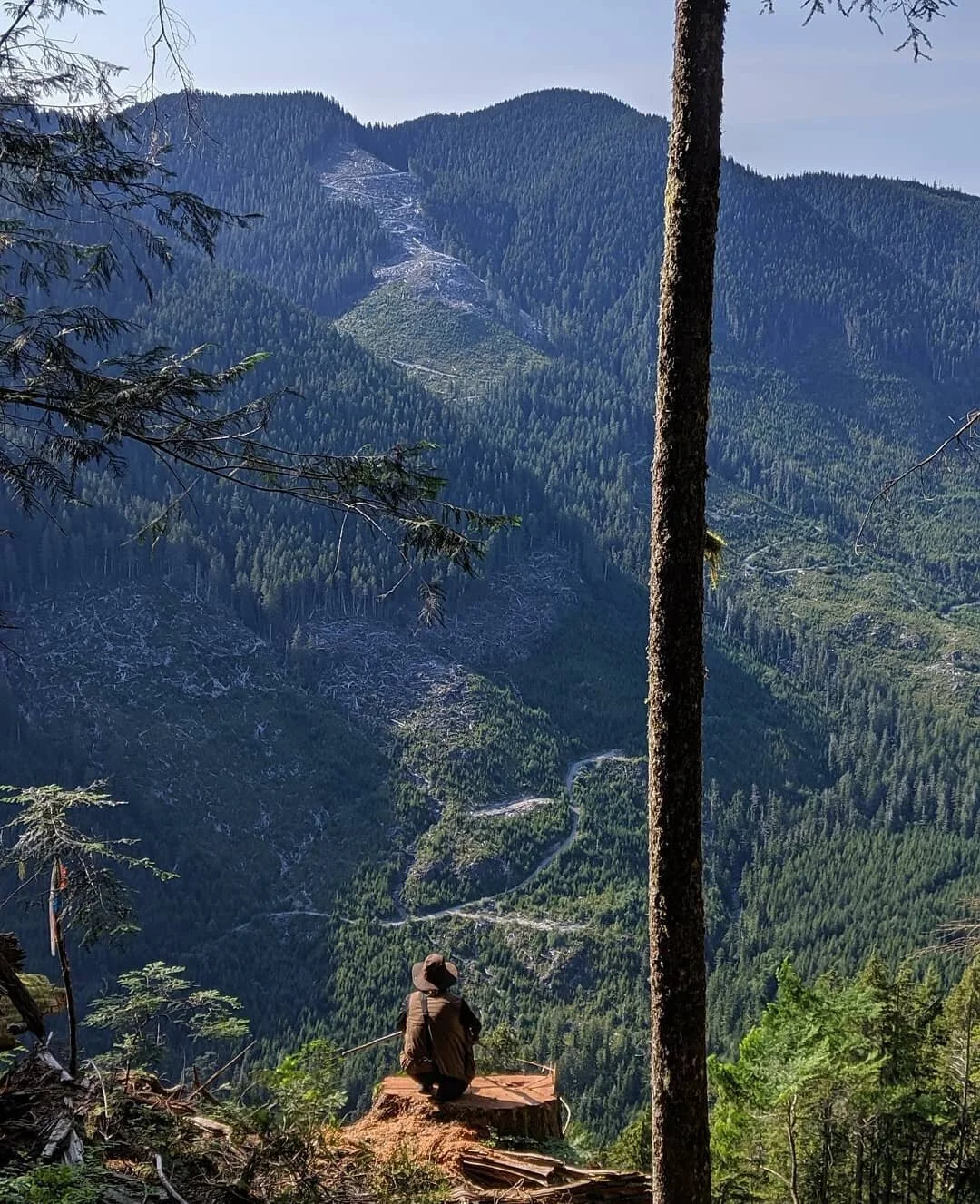 This photo is looking out on the backside of Edinburgh Mountain.

This mountain is home to Big Lonely Doug and it is also home to 6 new logging cut blocks planned on the mountain&rsquo;s upper slope.&nbsp;

Part of what makes Port Renfrew magical are