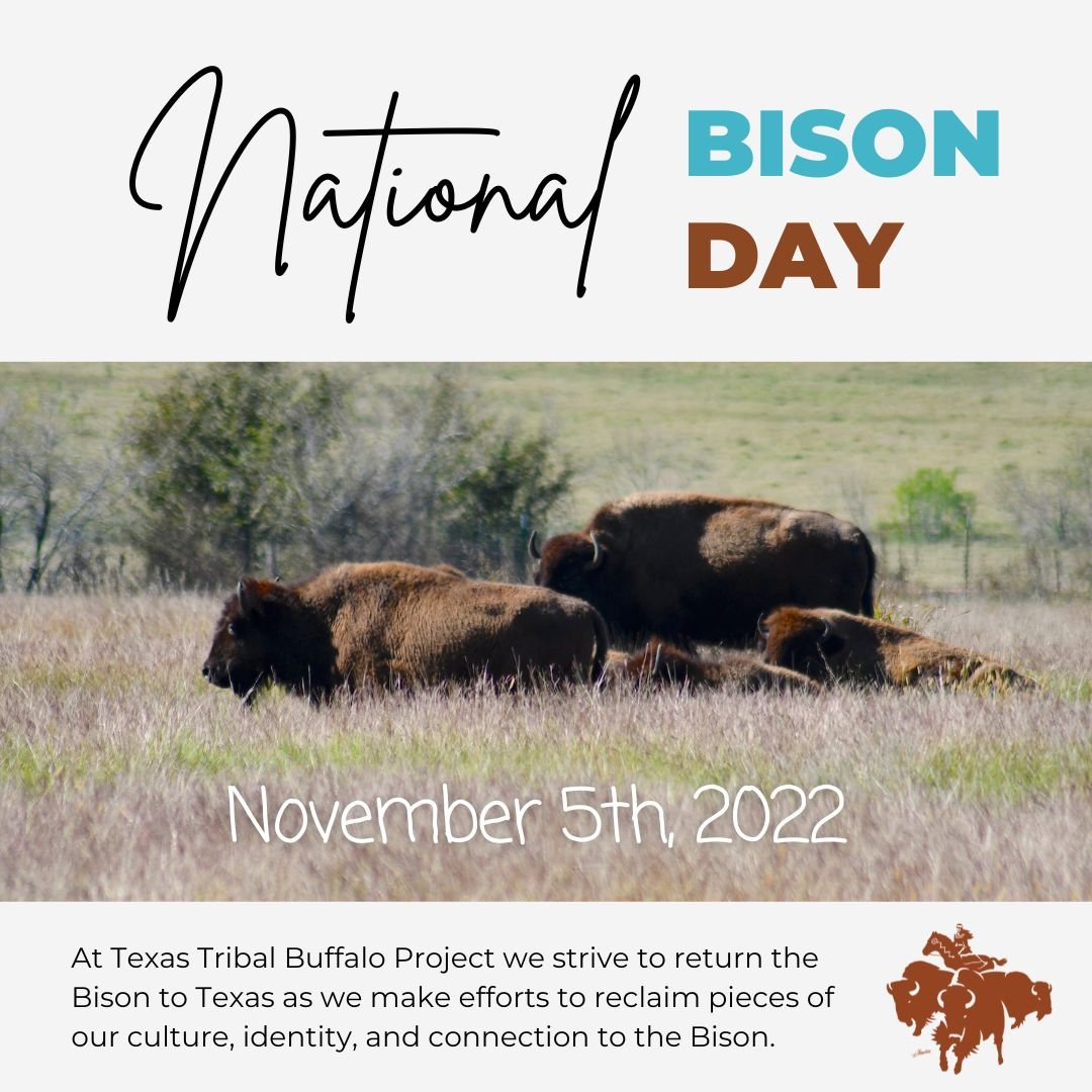 National Bison Day — Texas Tribal Buffalo Project