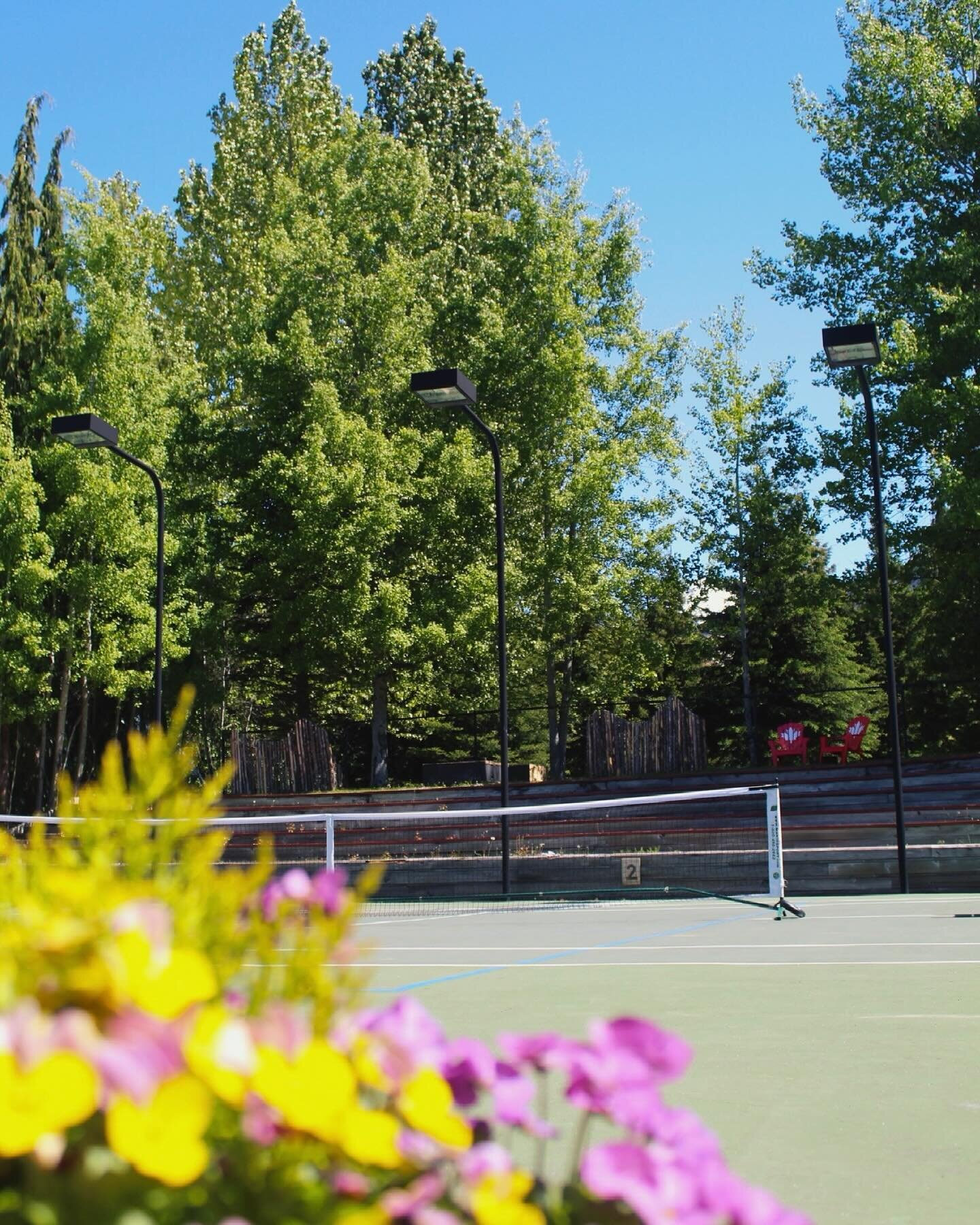 Today&rsquo;s weather has got us super excited for outdoor court season here in Whistler🤩