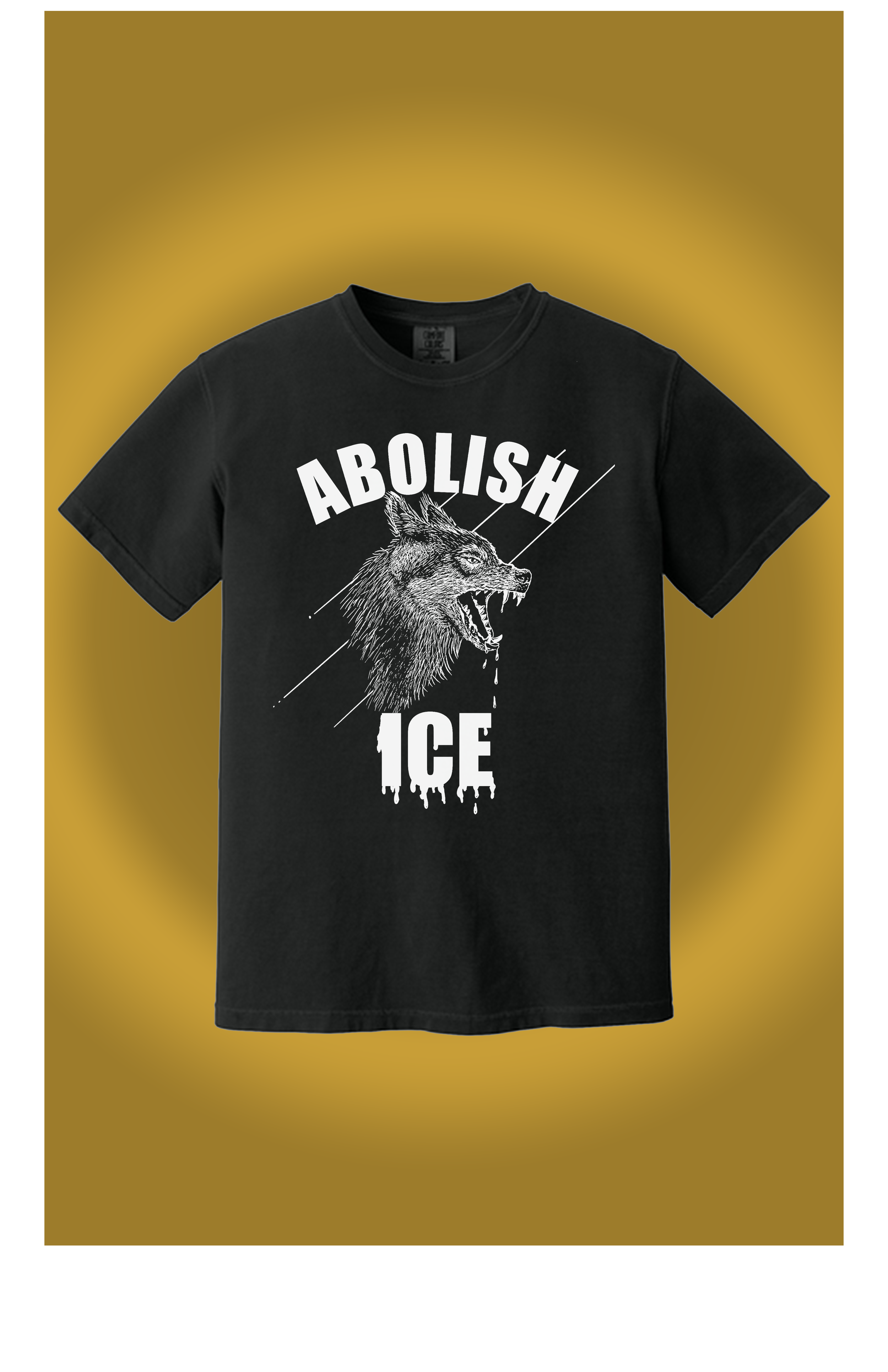 SARAH BILOON ABOLISH ICE for WEbSITE.png
