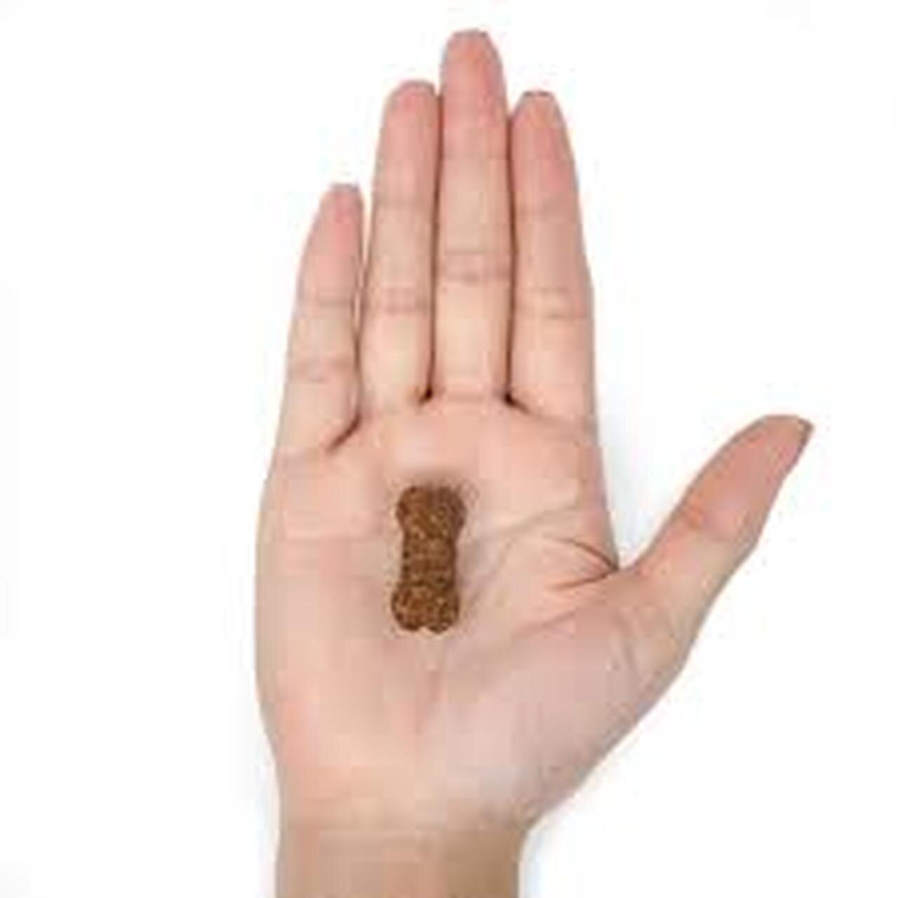 HonestPaws-MobilityChews-inHand.jpg