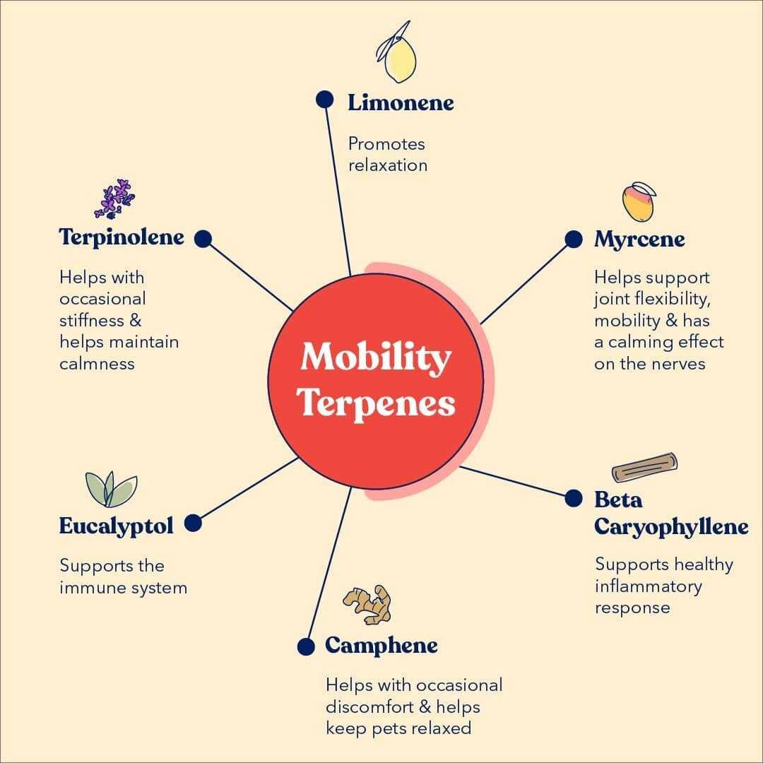 HonestPaws-MobilitySoftChews1-min.jpg