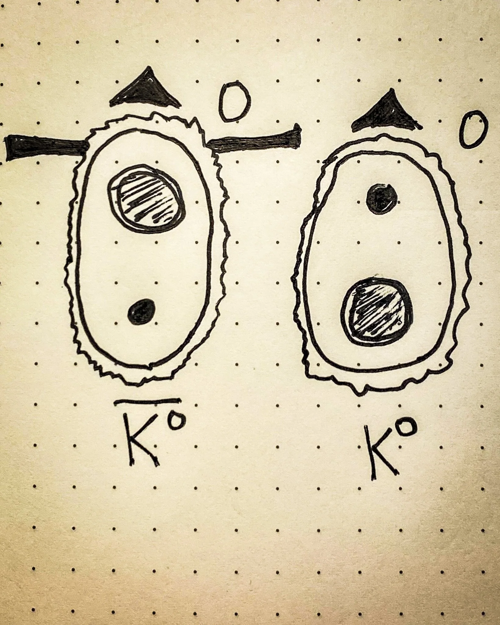 The Neutral Kaons — The Pasayten Institute