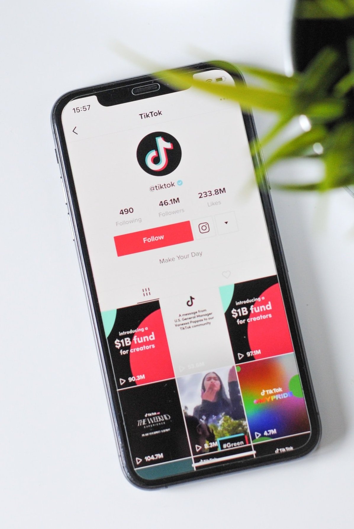TikTok Live Series with Madi Fogel
