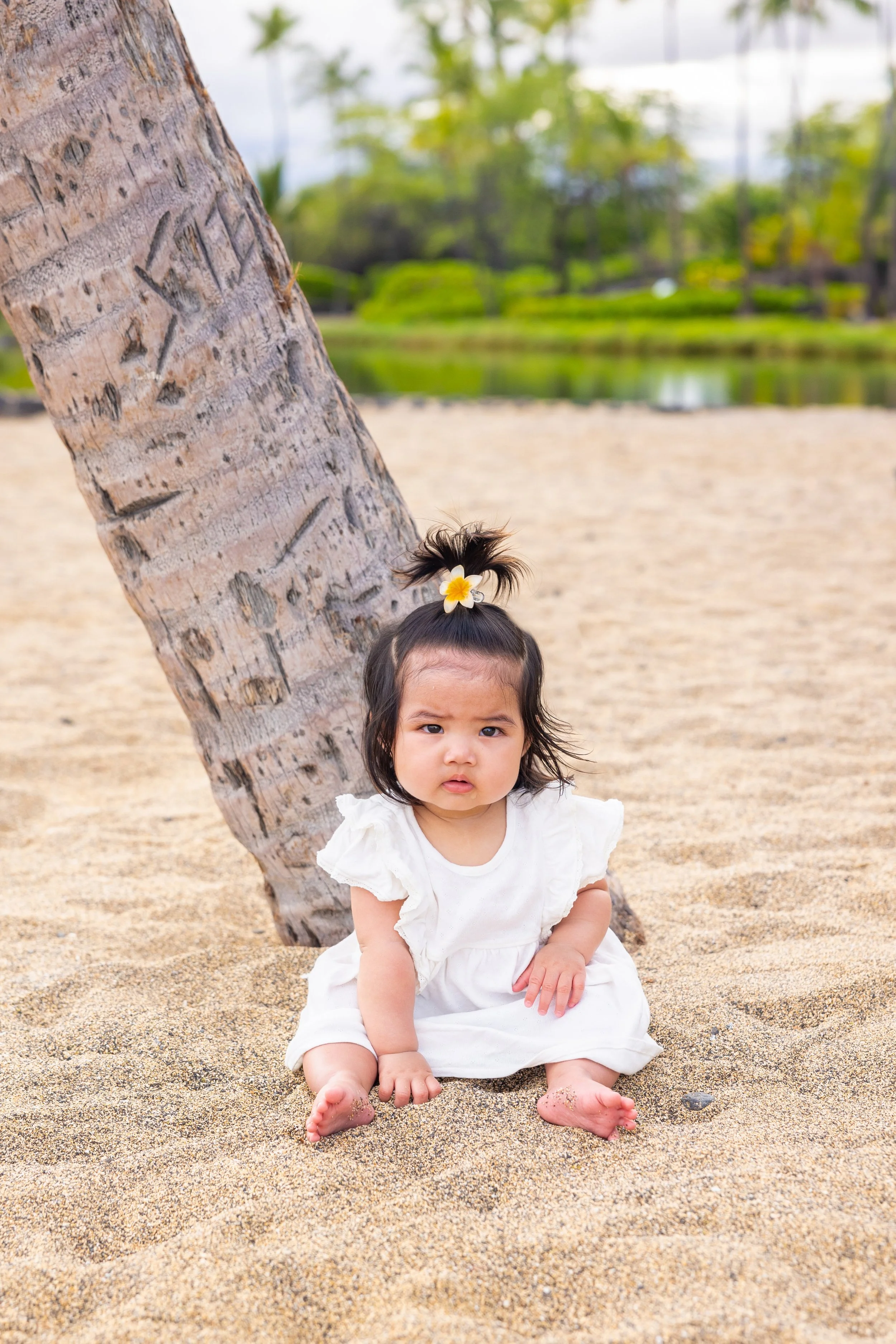 A toddler girl with dark hair tied in a small ponytail topped with a white and yellow flower, sitting on sandy ground next to a bent palm tree, with a lake and green trees in the background.