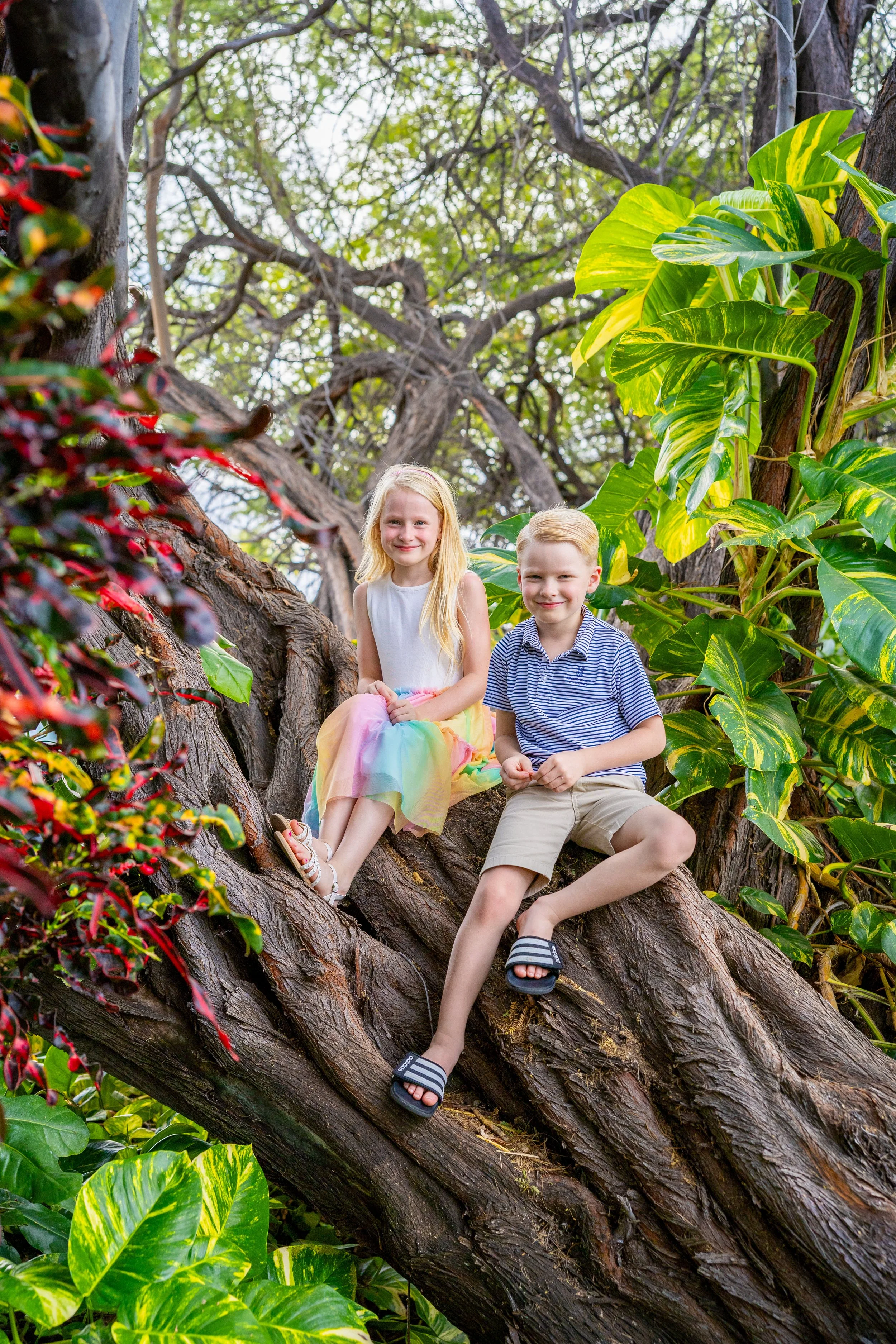Two children sitting on a large tree branch surrounded by lush green leaves and plants.
