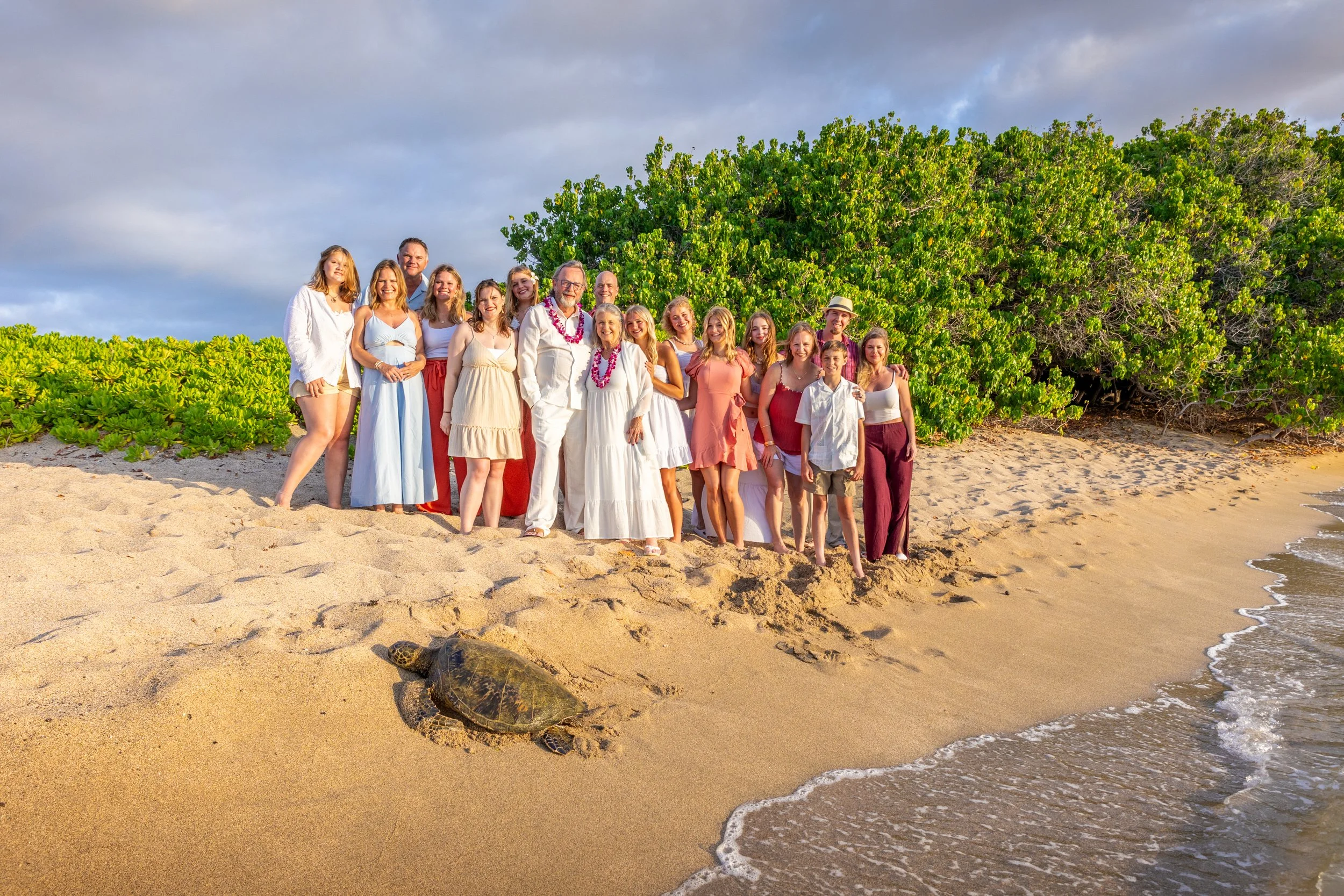 Group of people on a sandy beach with green bushes and a large sea turtle near the shoreline, cloudy sky in the background.