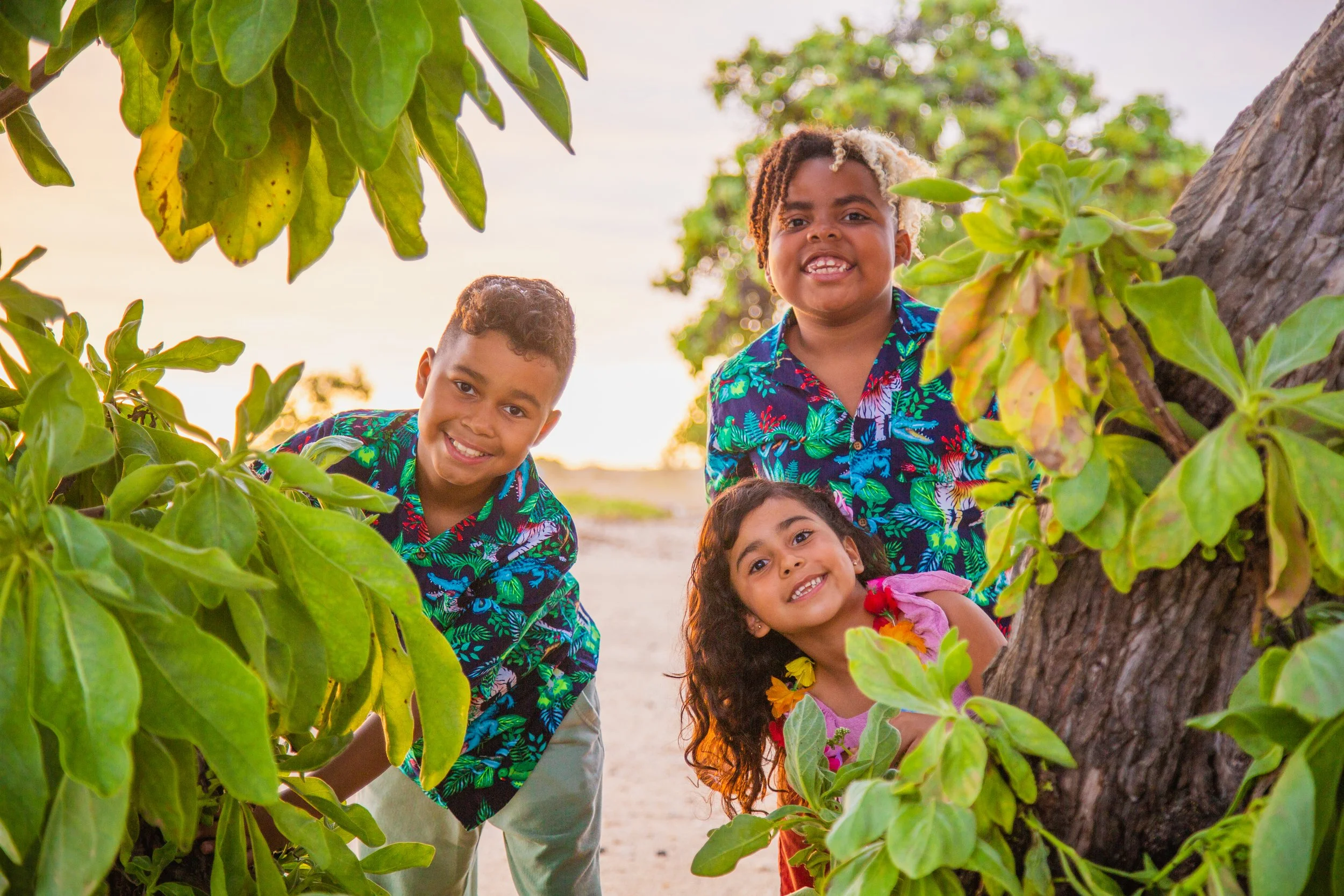 Four children peering through a gap in a tree and green foliage, smiling at the camera, during sunset.