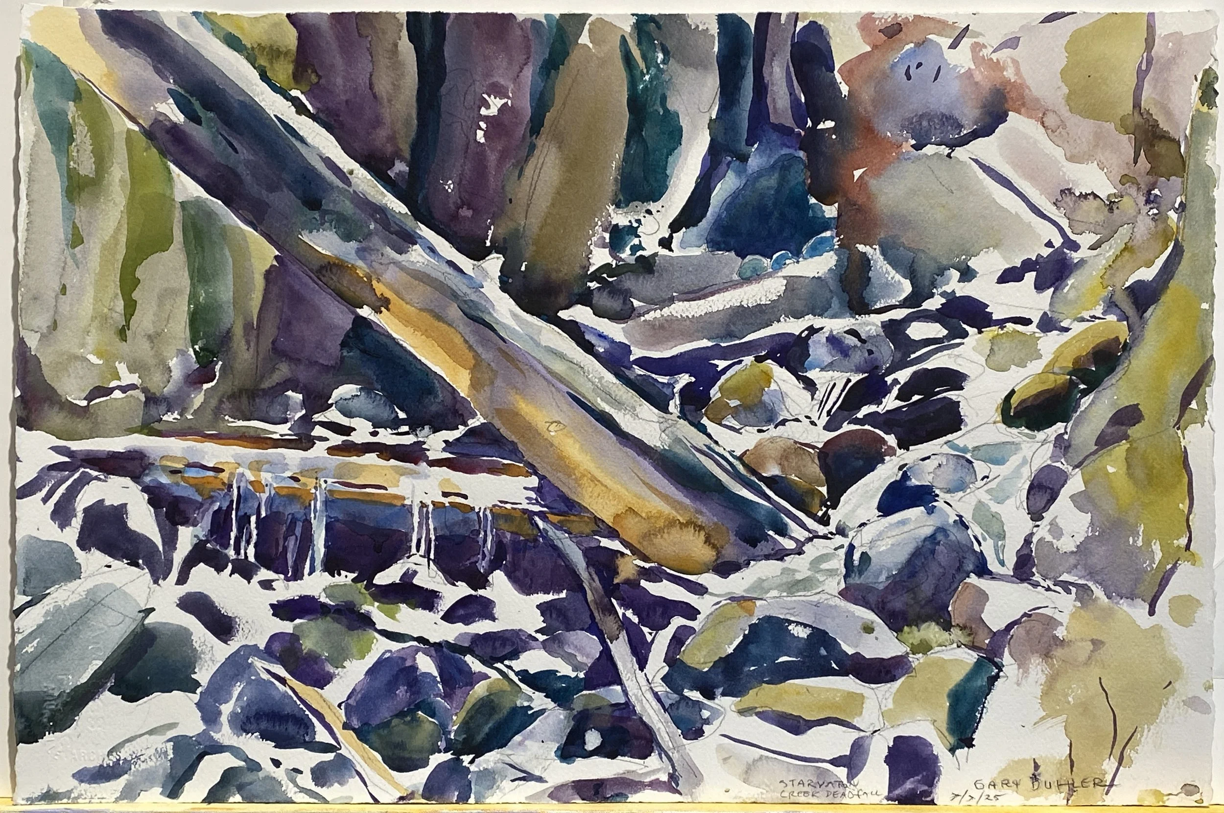 Starvation Creek Deadfall