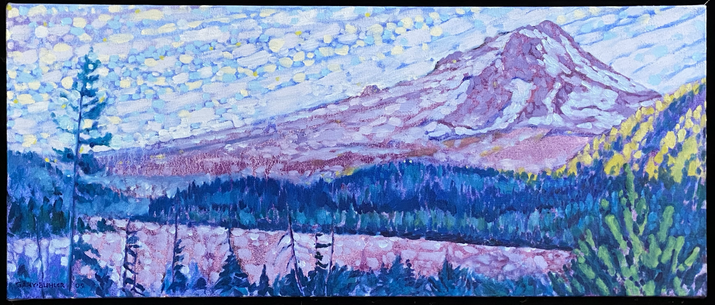 "Companion II": 13'' x 30'', unframed, oil on canvas, 2005. $950