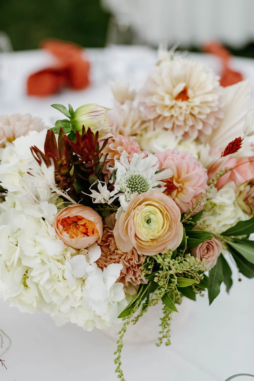 Roblar Winery Santa Ynez Wedding Susan + Deji _ Emily Magers Photography-700.jpg