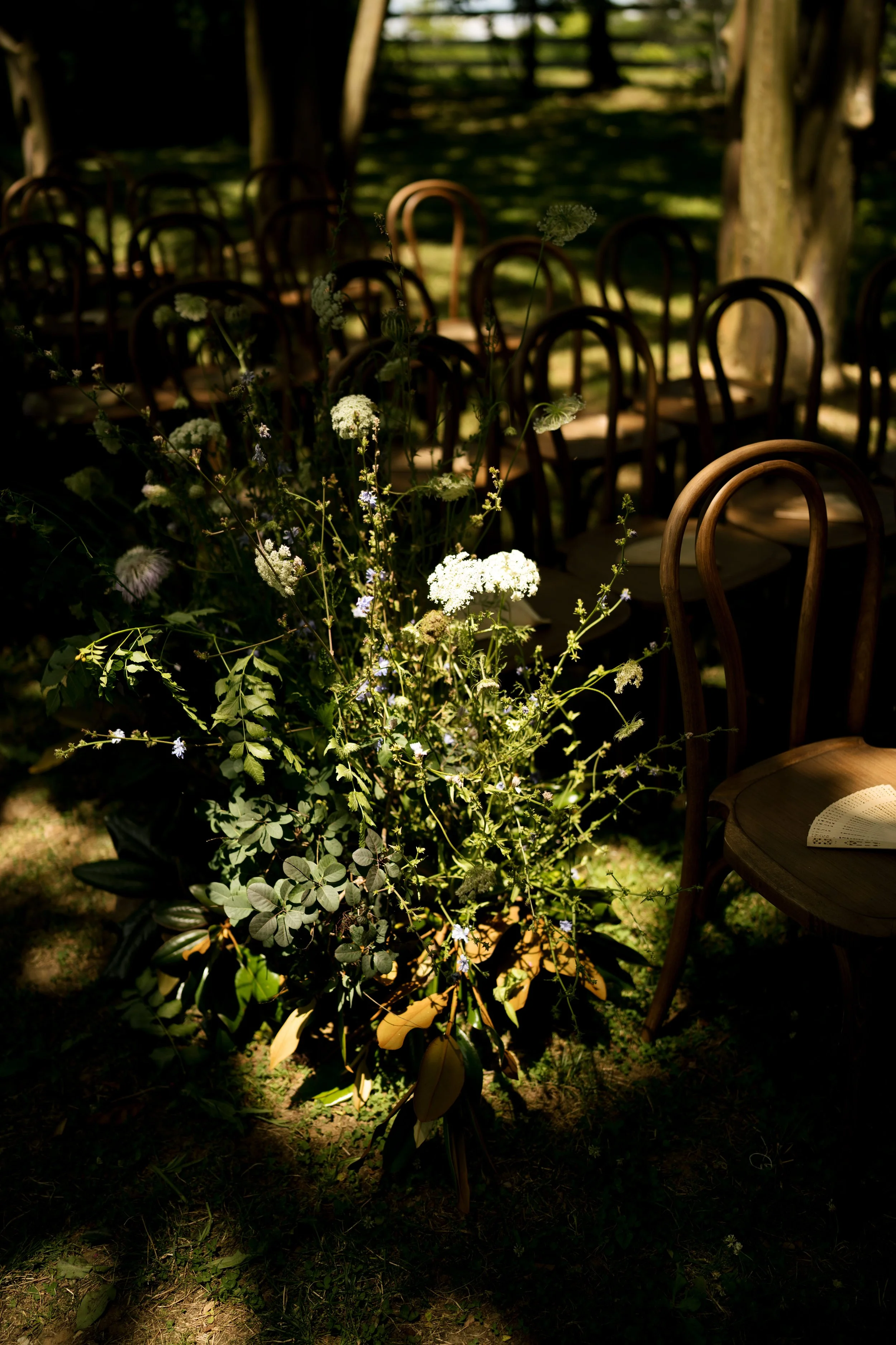 ceremony-16.jpg