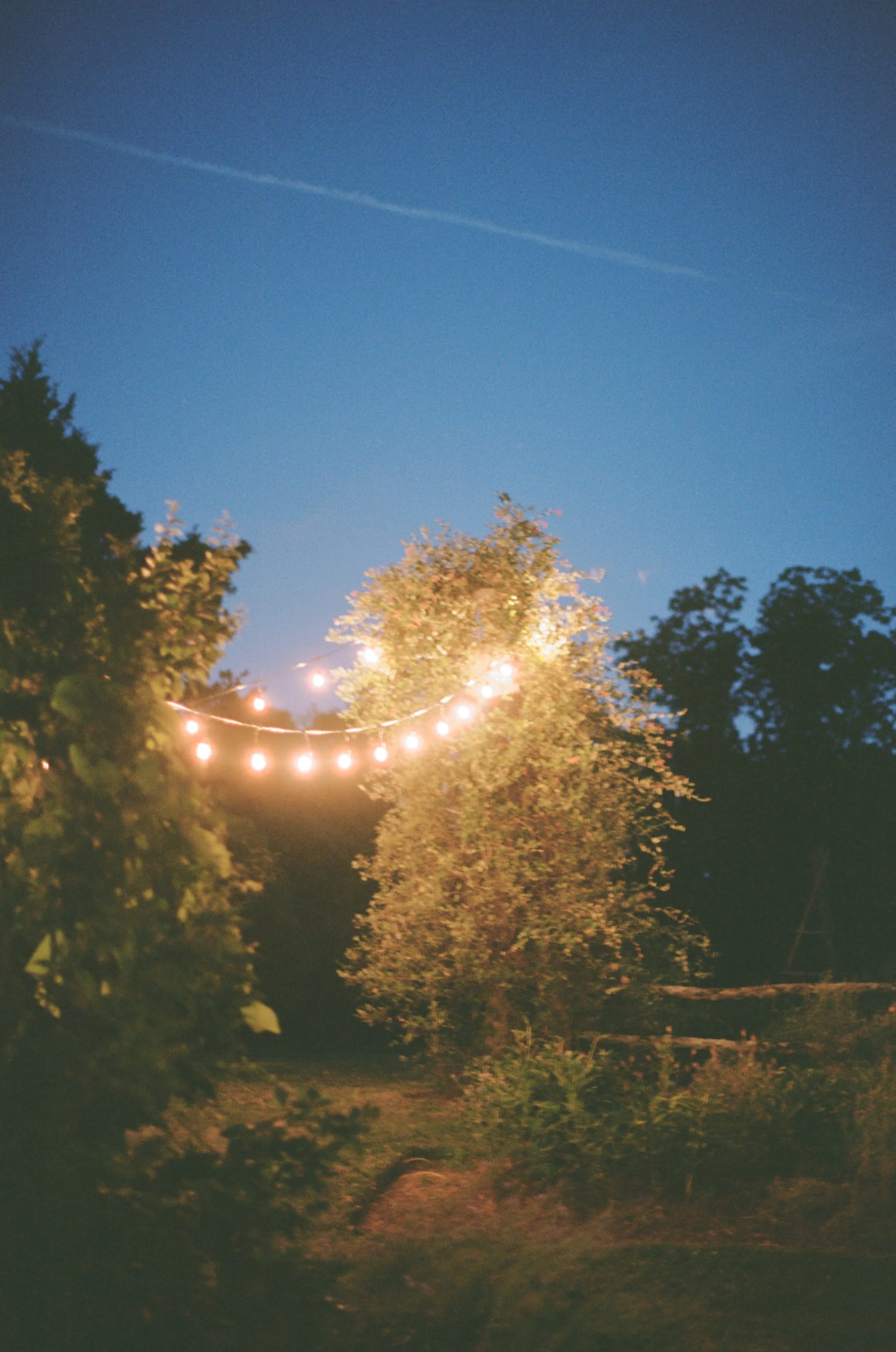 film-408.jpg