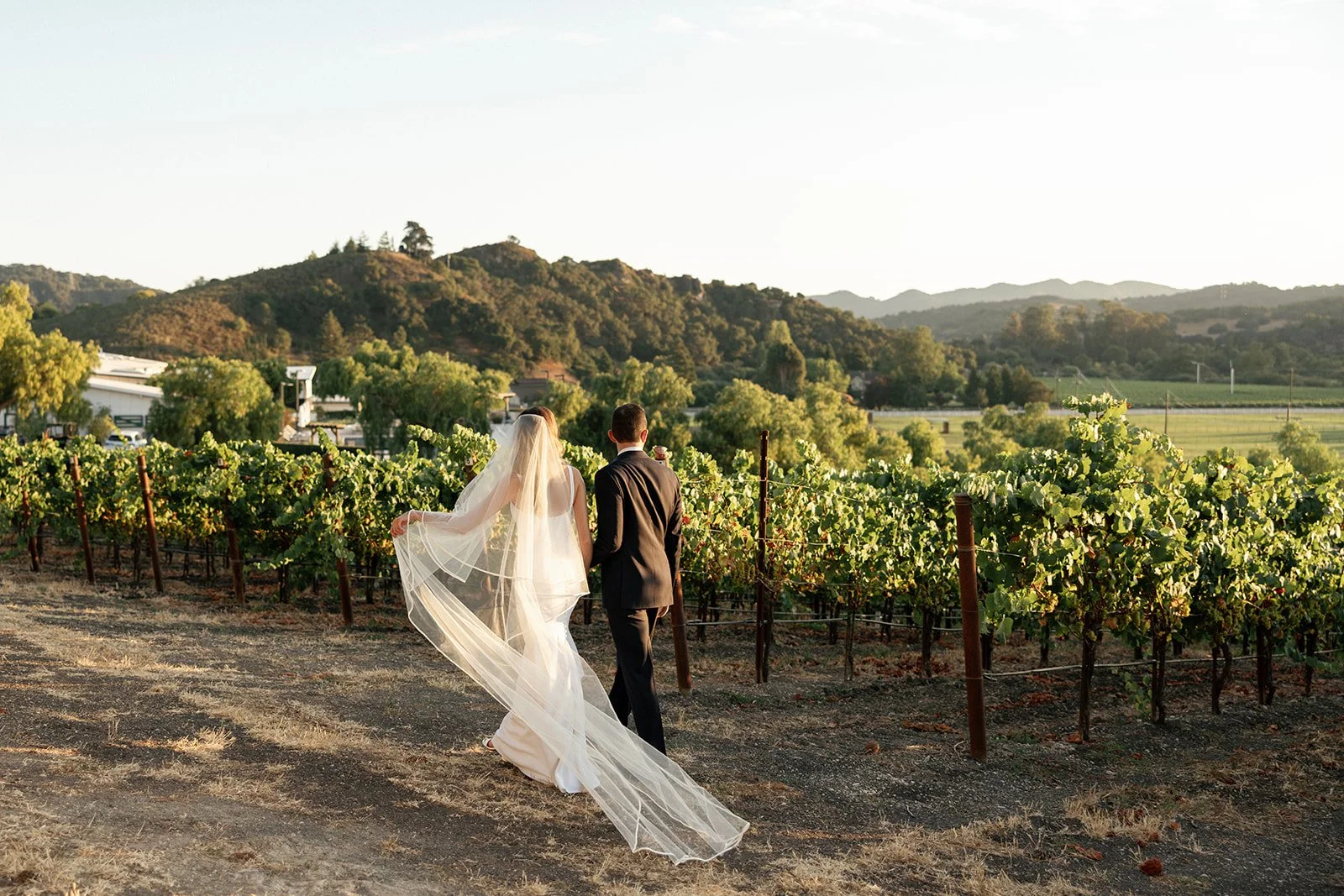 ChantelSaffordPhotography_CourtneyJaredWeddingWeekend_ReceptionSunset_0065.jpg