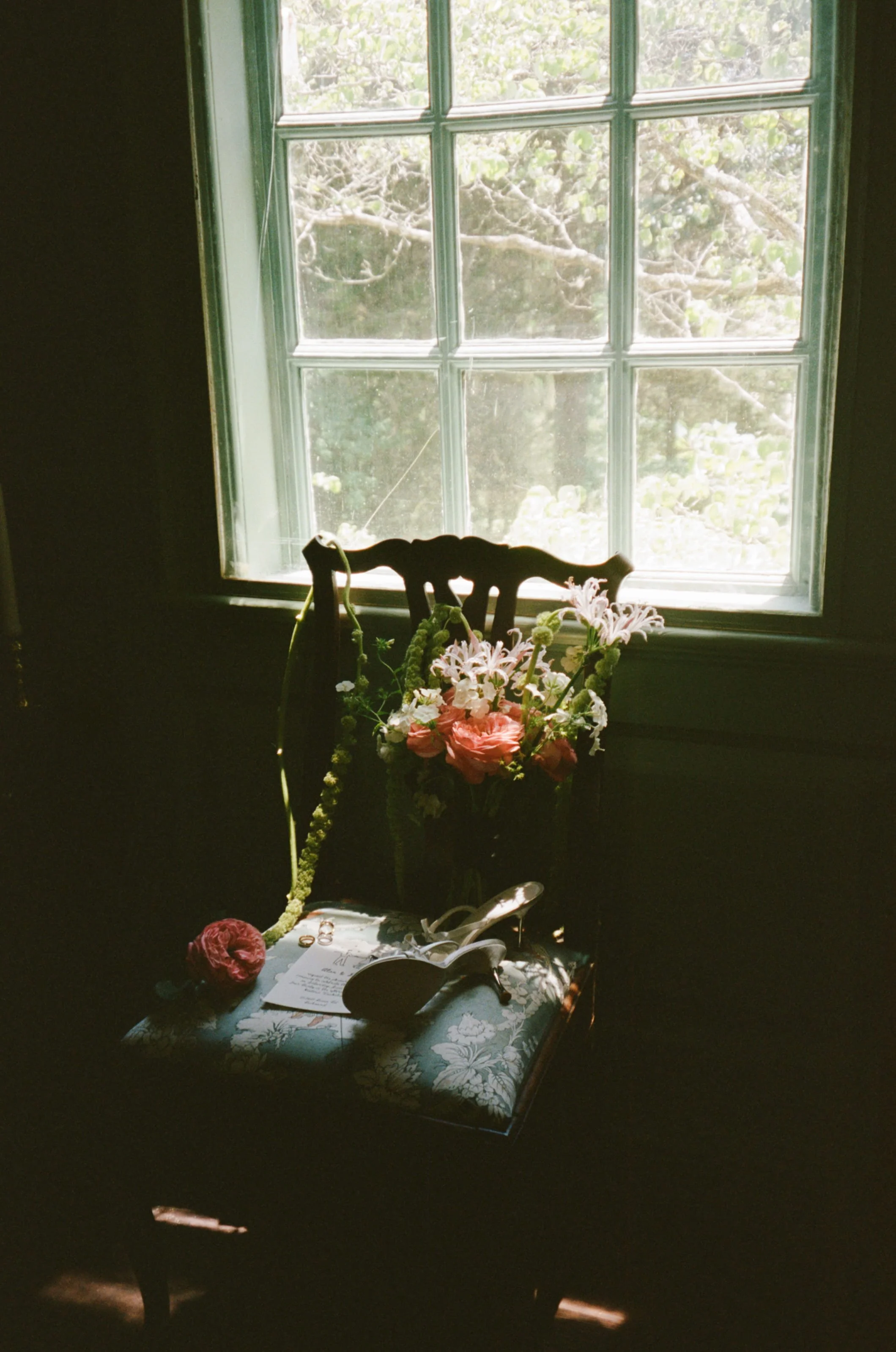 film-5.jpg