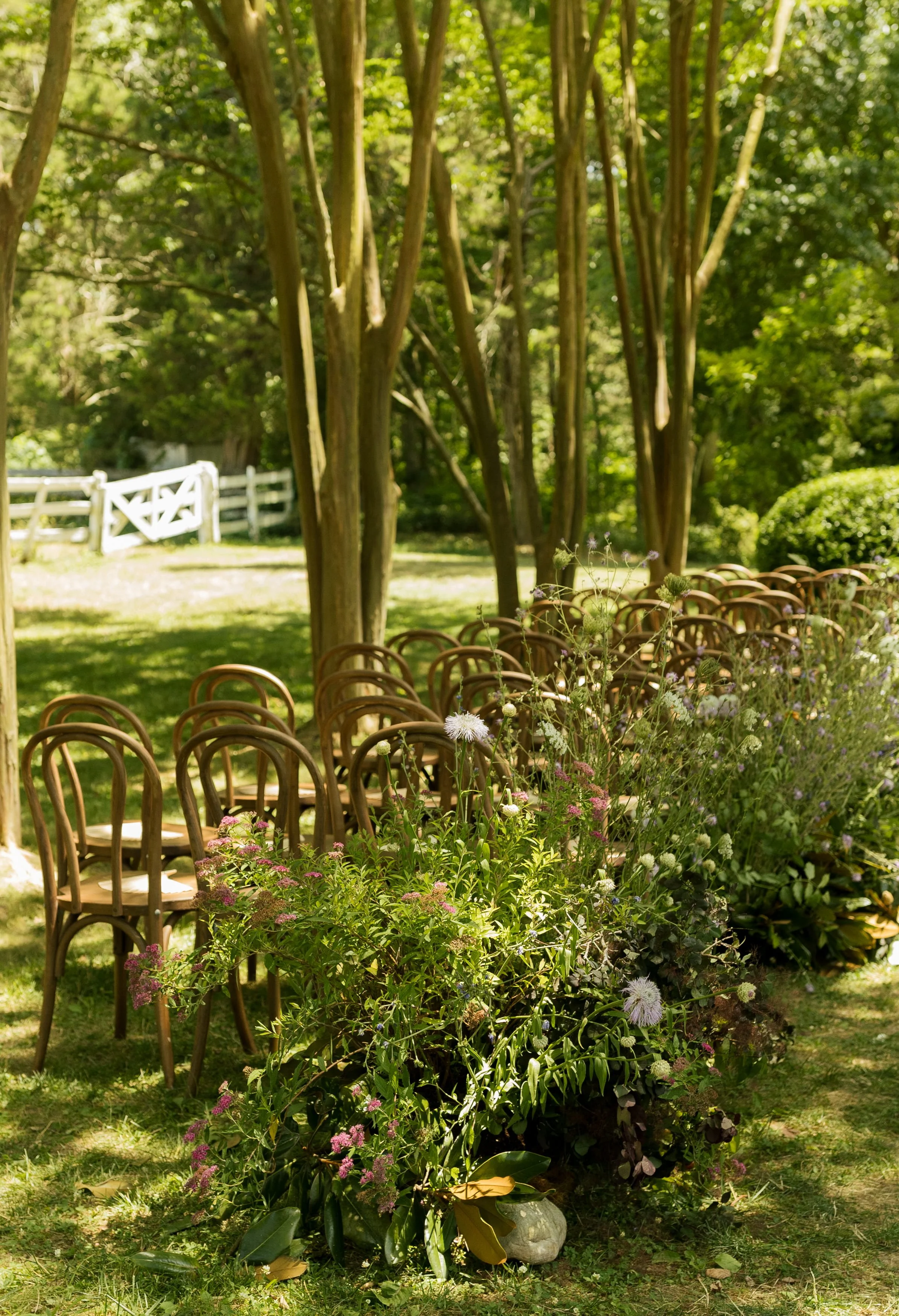 ceremony-4.jpg