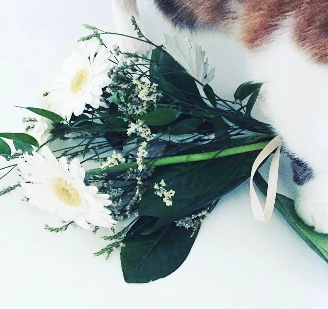 Filterek és ami mögöttük van - nőnapi elmélkedés