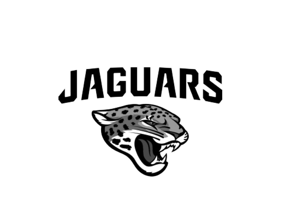 ALL-Client-Logos-BW_0004_Jaguars.png