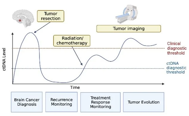 Understanding Liquid Biopsy for Brain Cancer — BLOODPAC