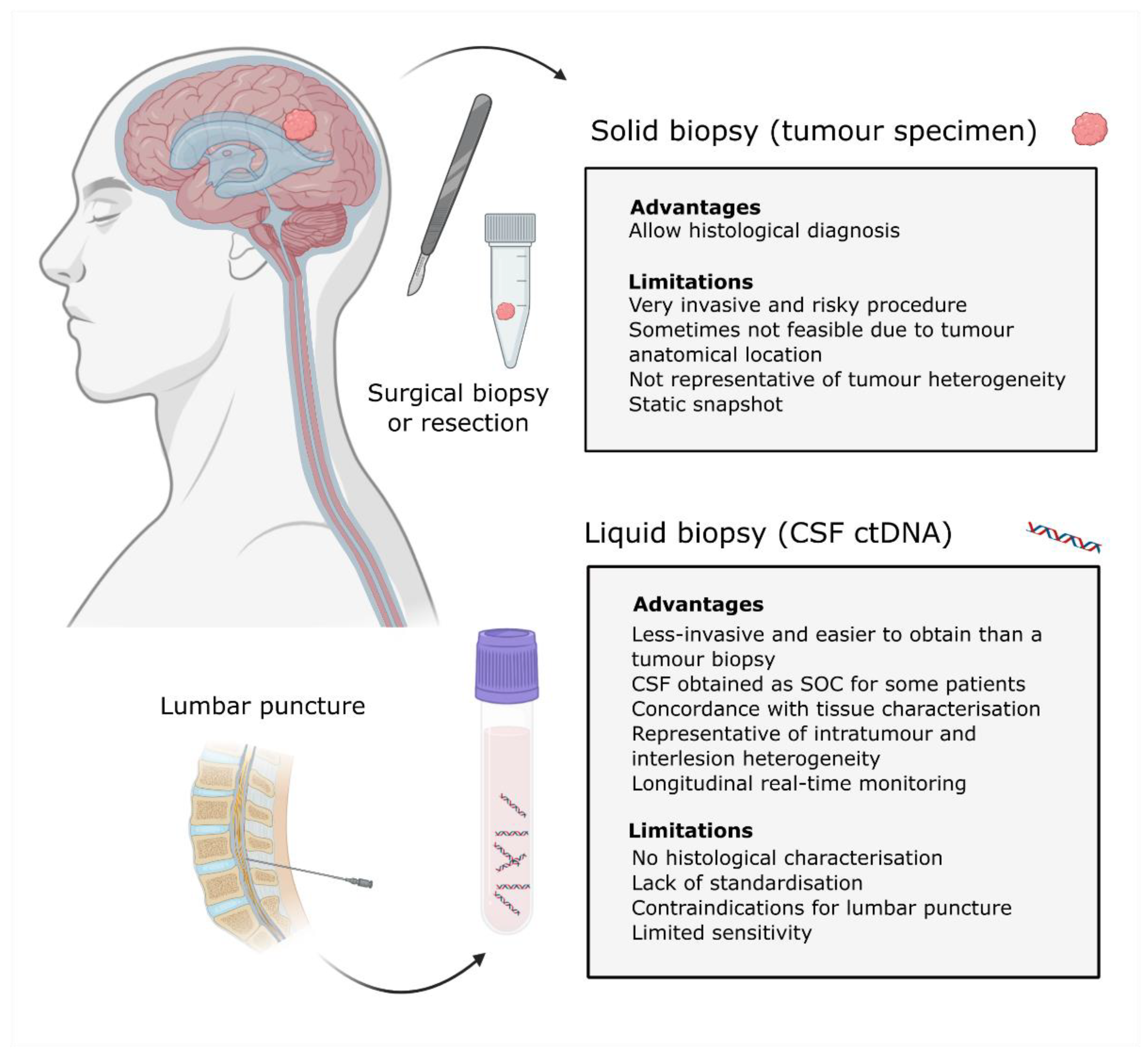 Understanding Liquid Biopsy for Brain Cancer — BLOODPAC