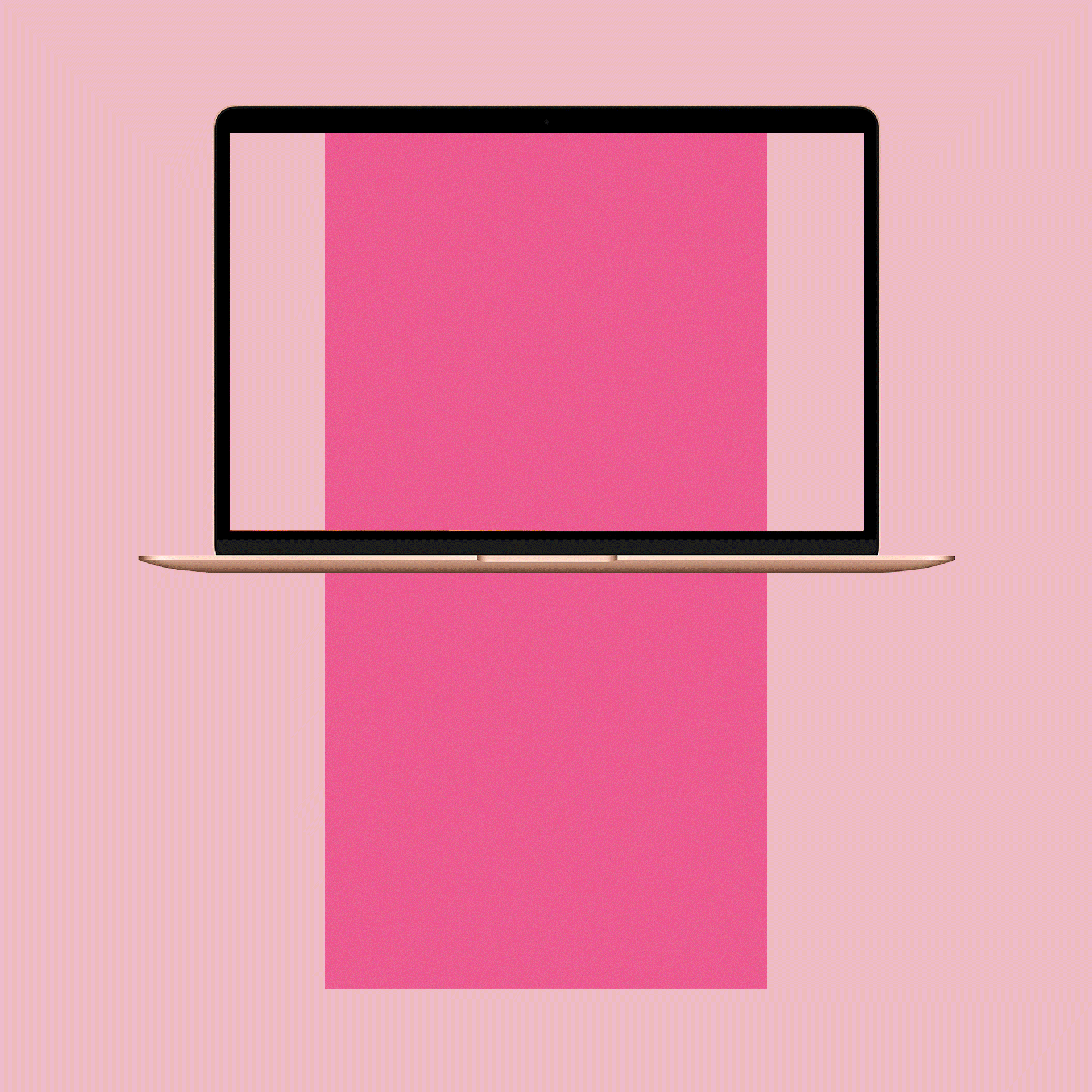 Monsoon-Wedding-Email-Gif.gif