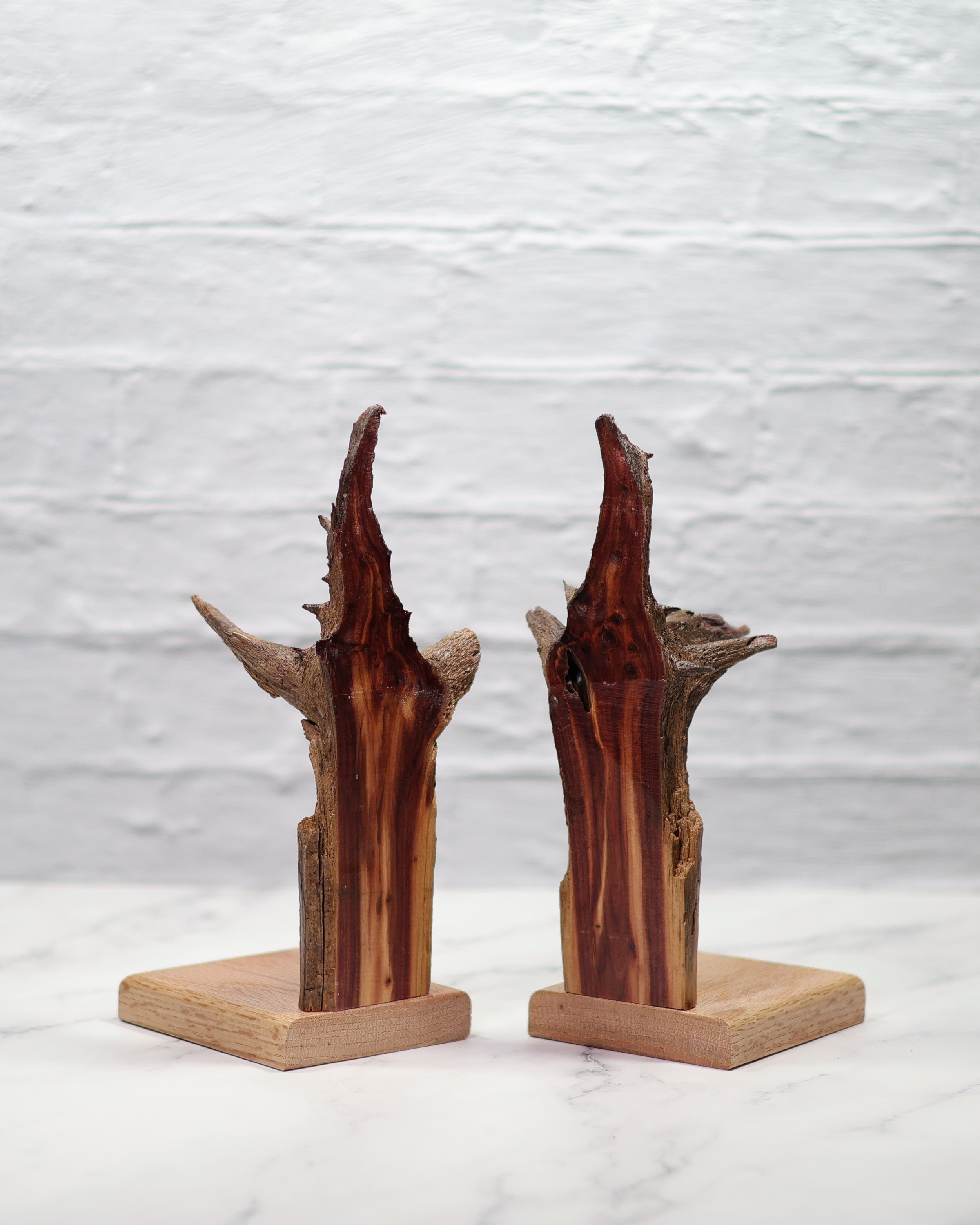 Cedar Rootball Bookends with Oak Base
