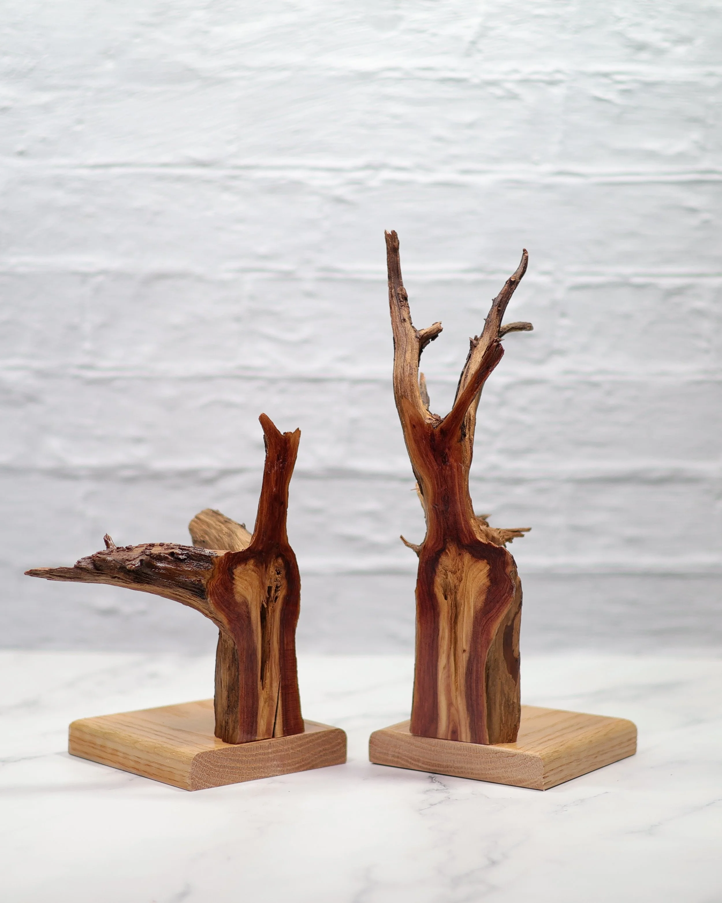 Cedar Rootball Bookends with Oak Base