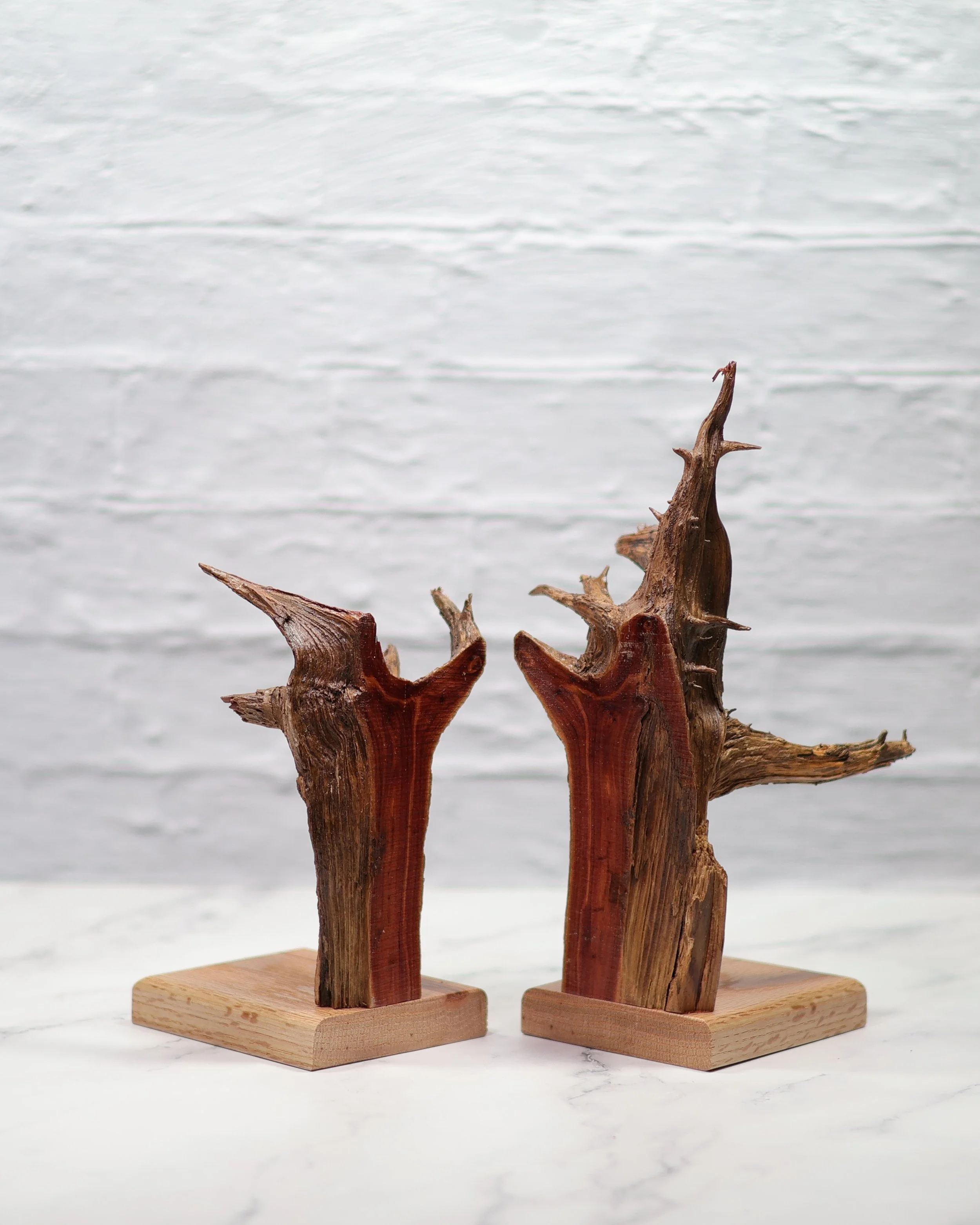 Cedar Rootball Bookends with Oak Base