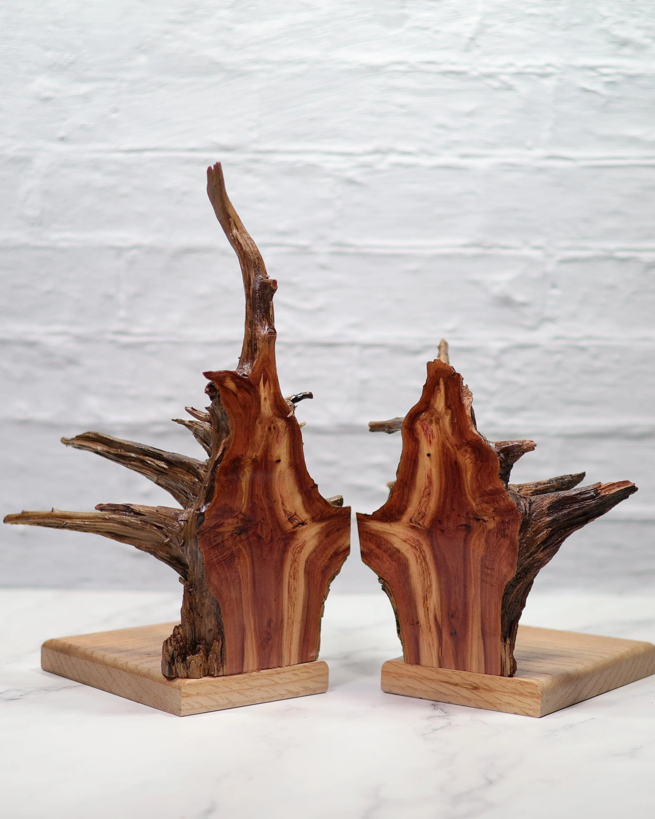 Cedar Rootball Bookends with Oak Base