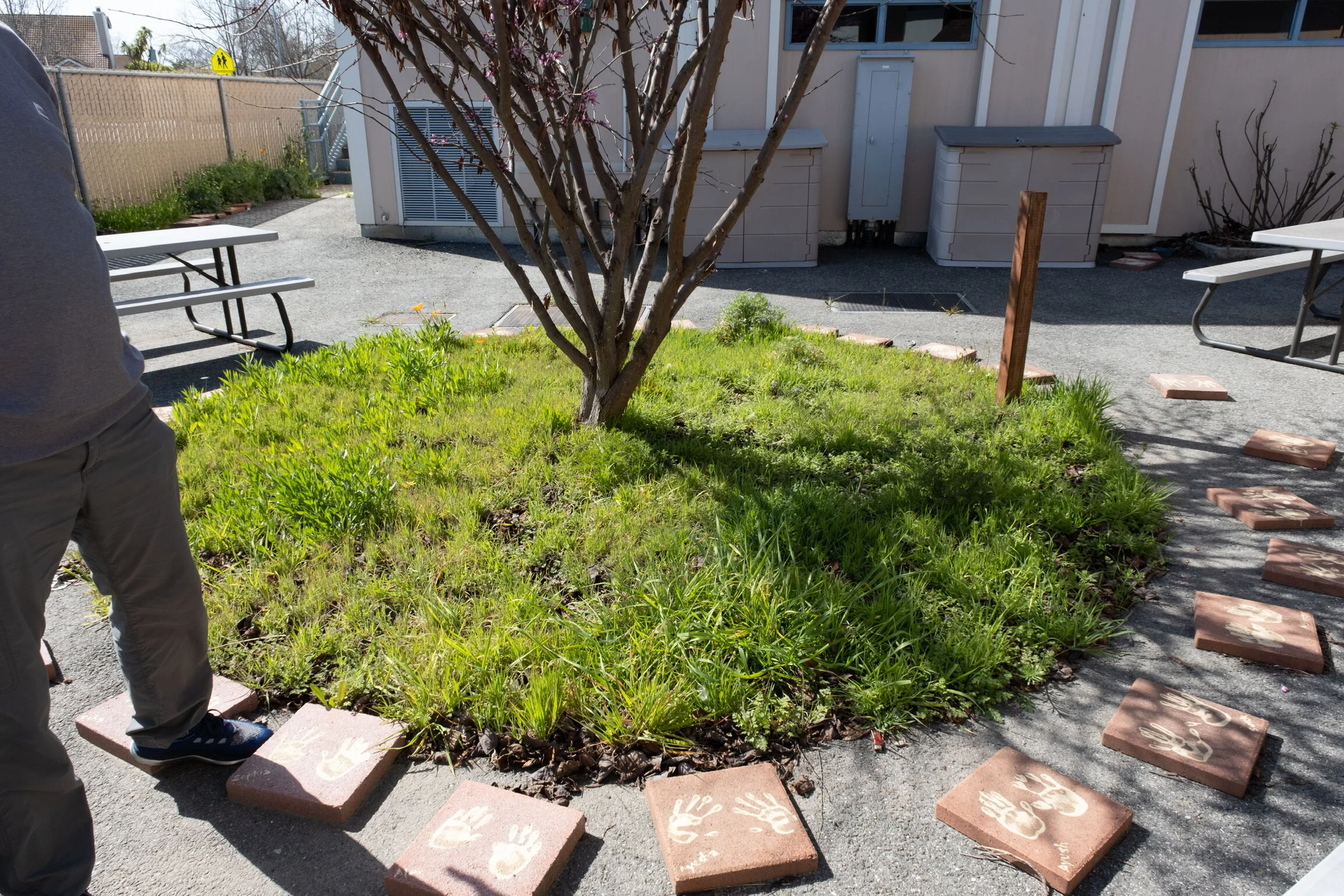 Ardenwood Elementary Plot 3