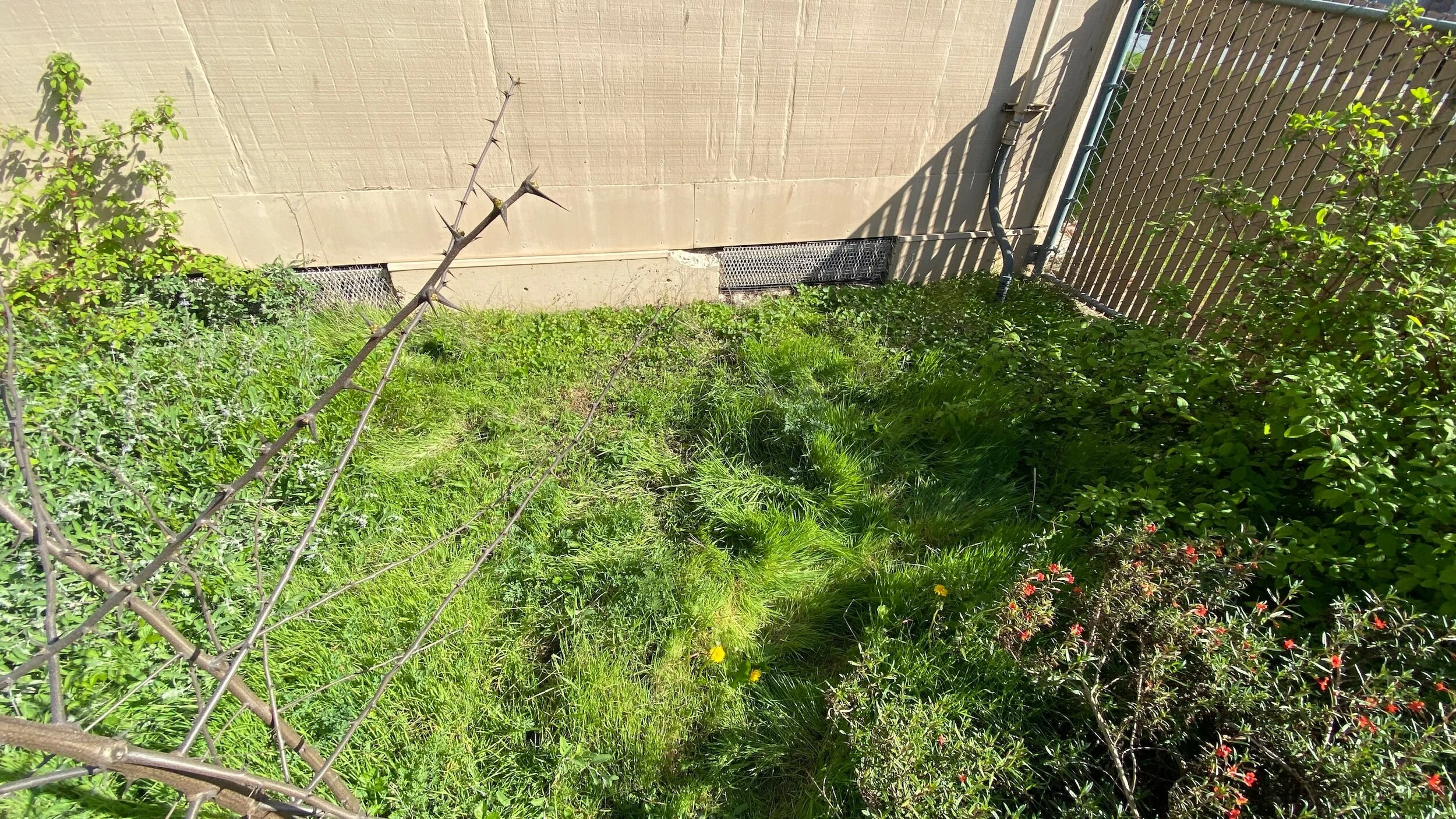 Ardenwood Elementary Plot 2