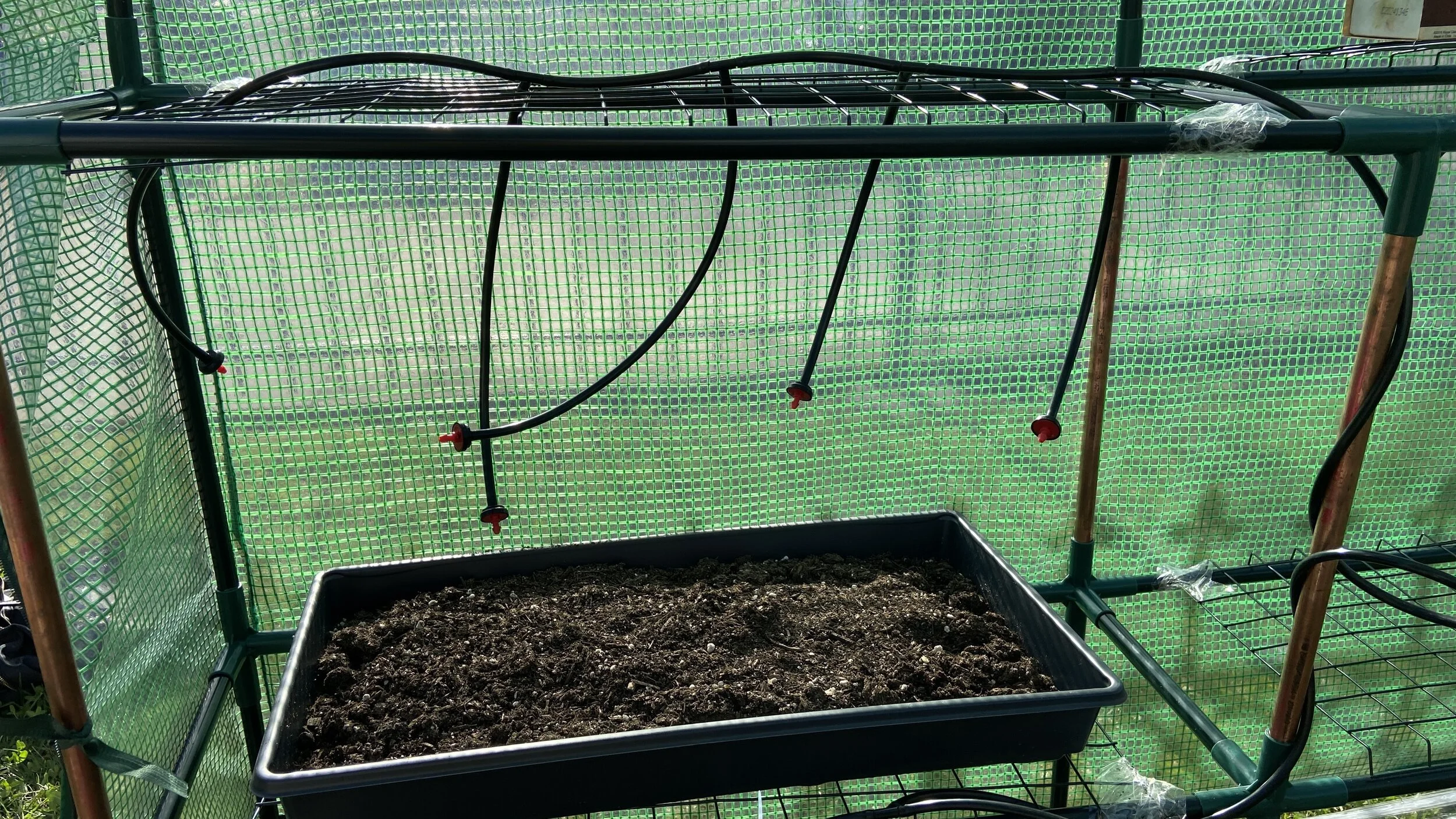 Seedball Phase 1 Testing