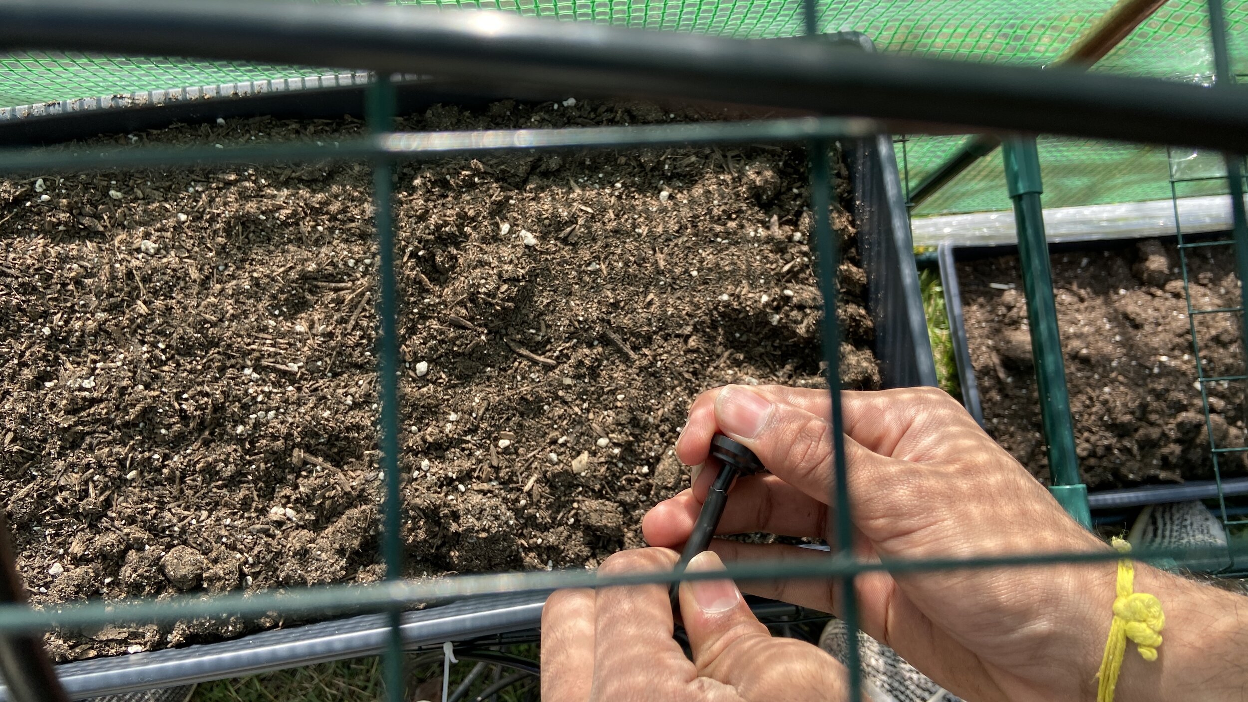 Seedball Phase 1 Testing