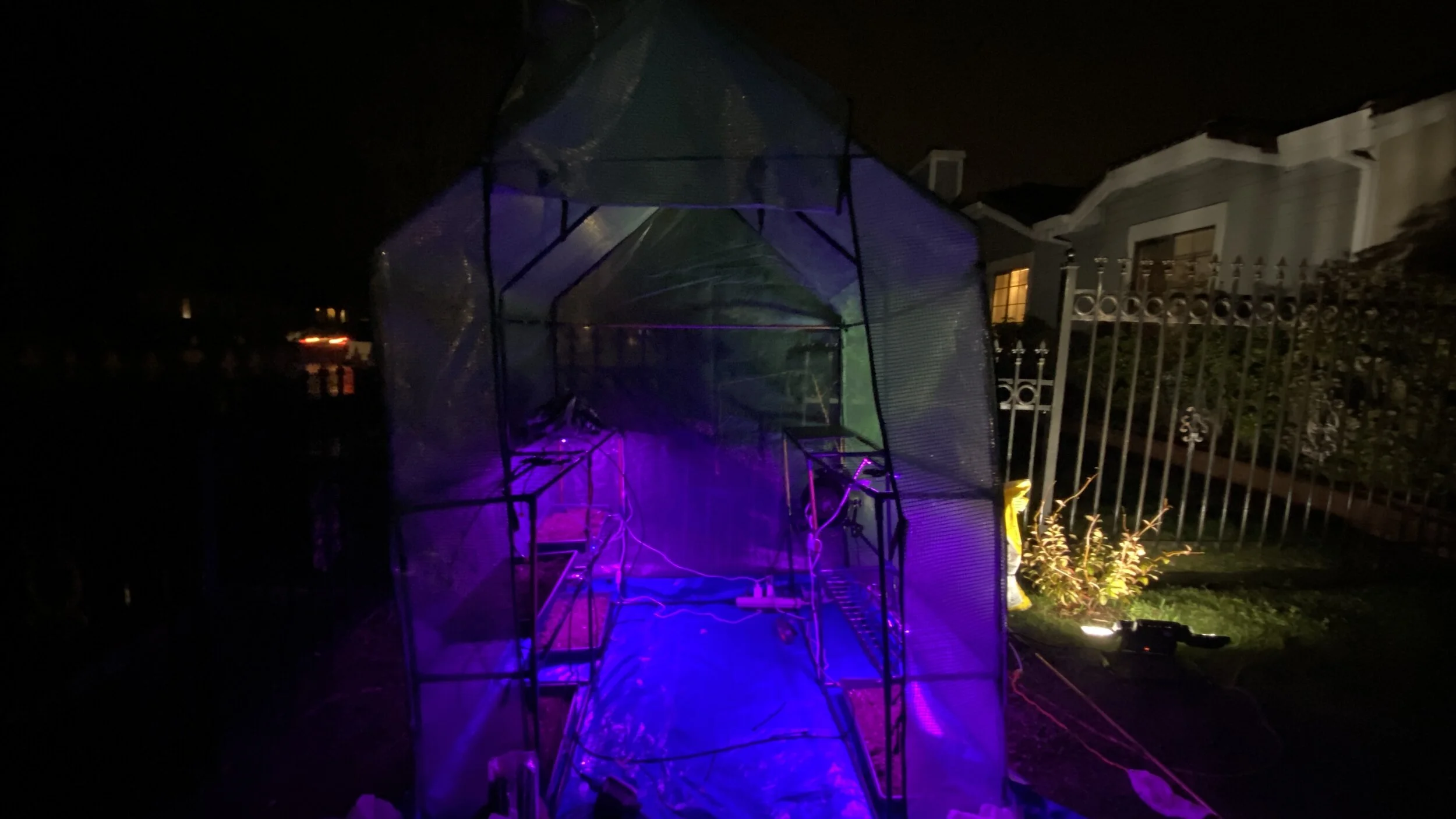 Seedball Phase 1 Testing