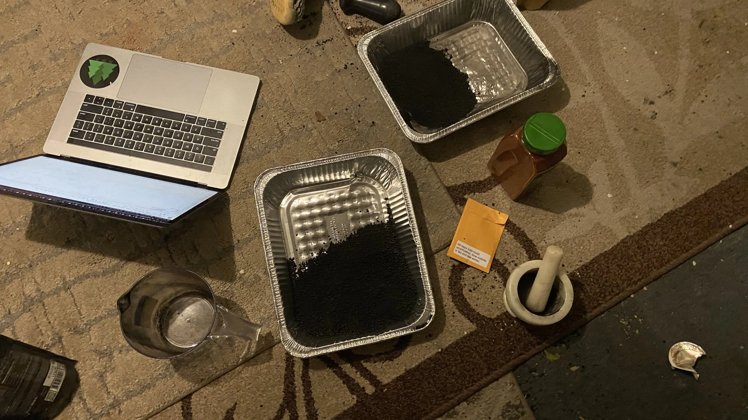 Seedball Phase 2 Testing