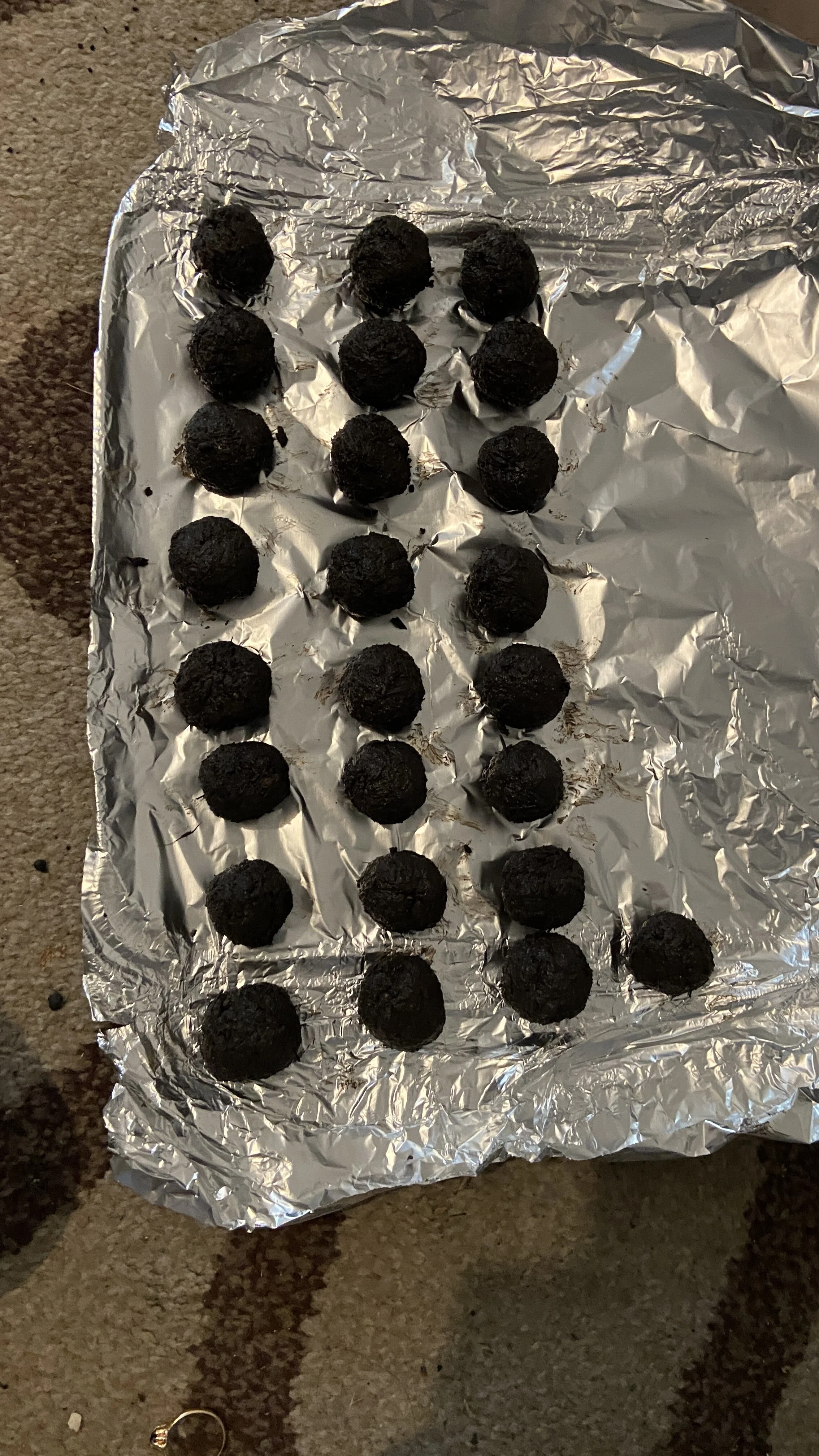 Seedball Phase 2 Testing