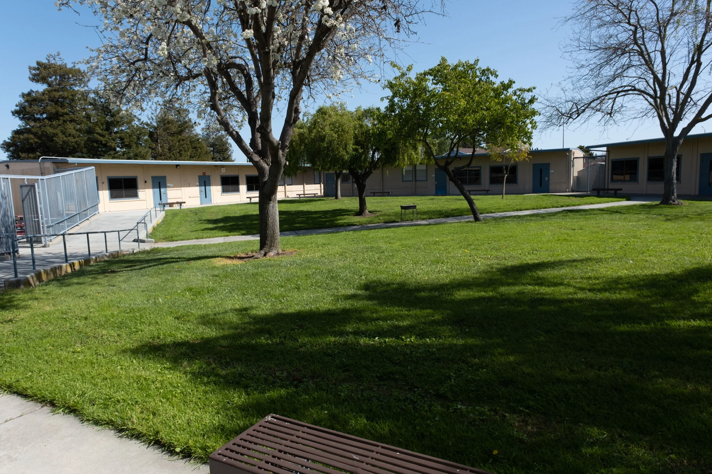 Ardenwood Elementary Plot 1