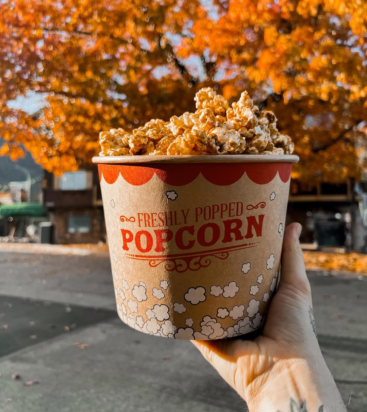 Happy Thanksgiving🤎🧡 We will be open from 11am-3pm today! We are offering $3 small caramel corn or $6 large caramel corn buckets today! We are grateful for our community and all the visitors that come by and support!!

#dassweetshoppe #shoplocal